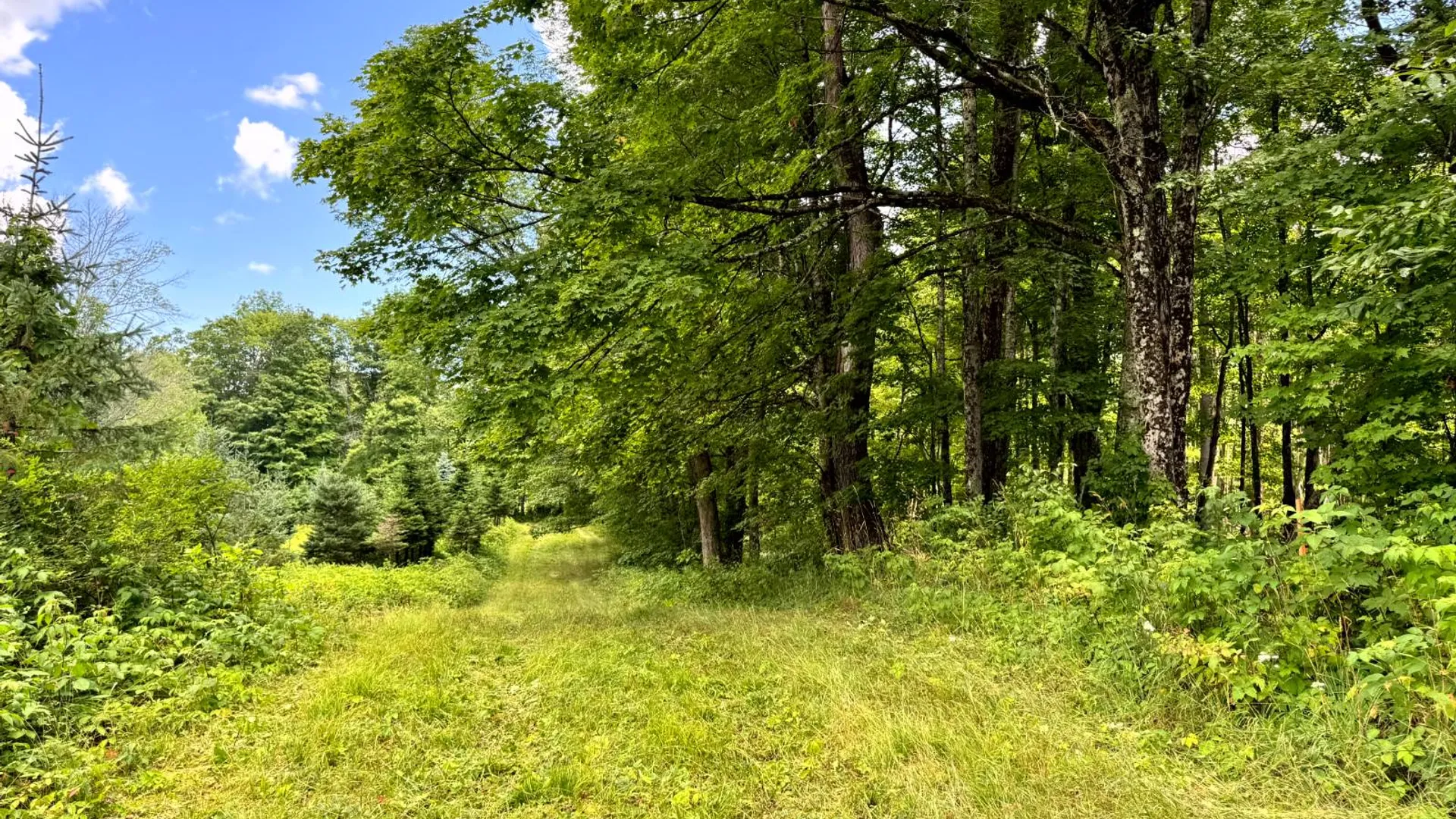 Property at 1.2 Tannery Rd, Western, NY 13486 16