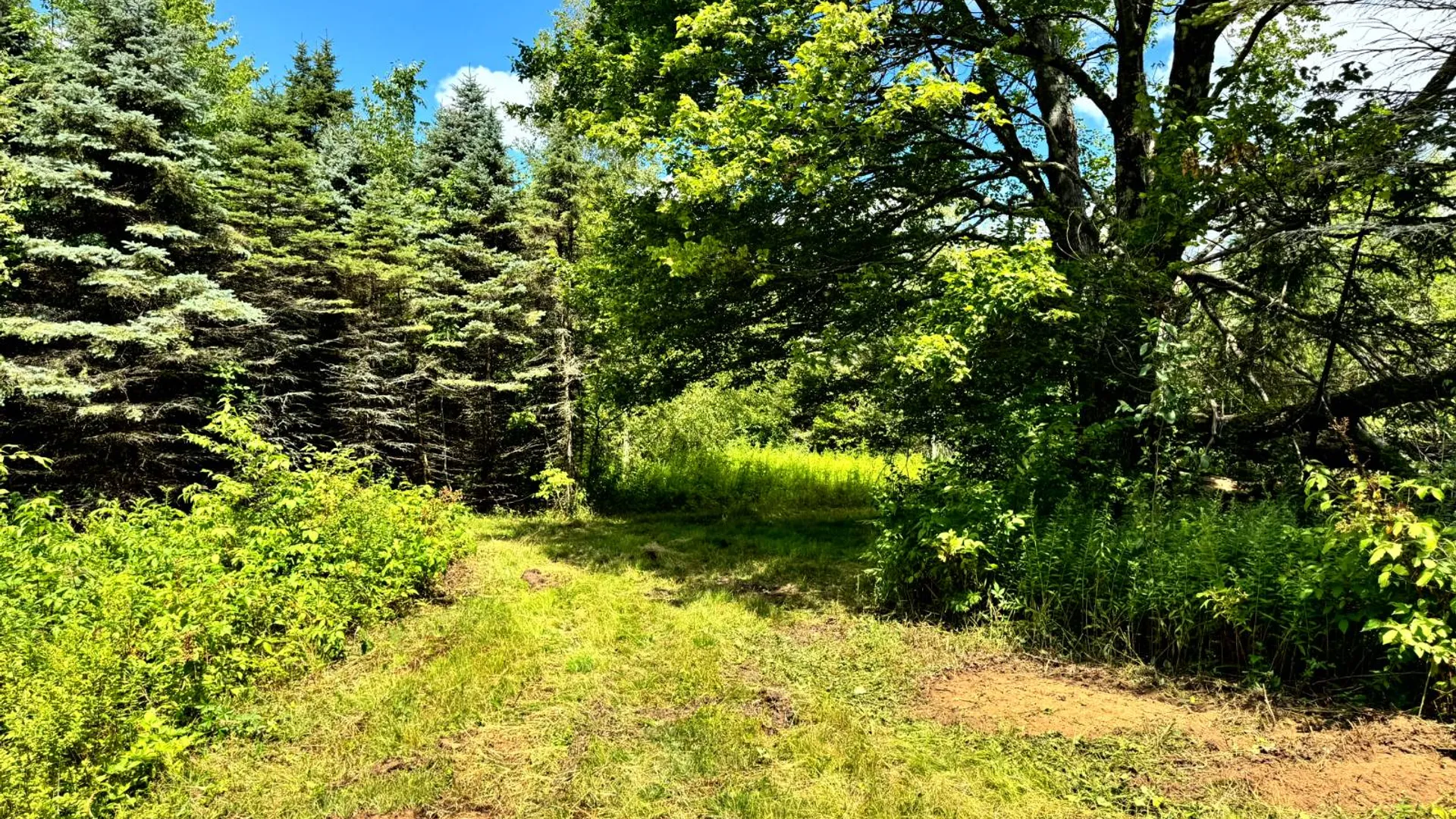 Property at 1.2 Tannery Rd, Western, NY 13486 18