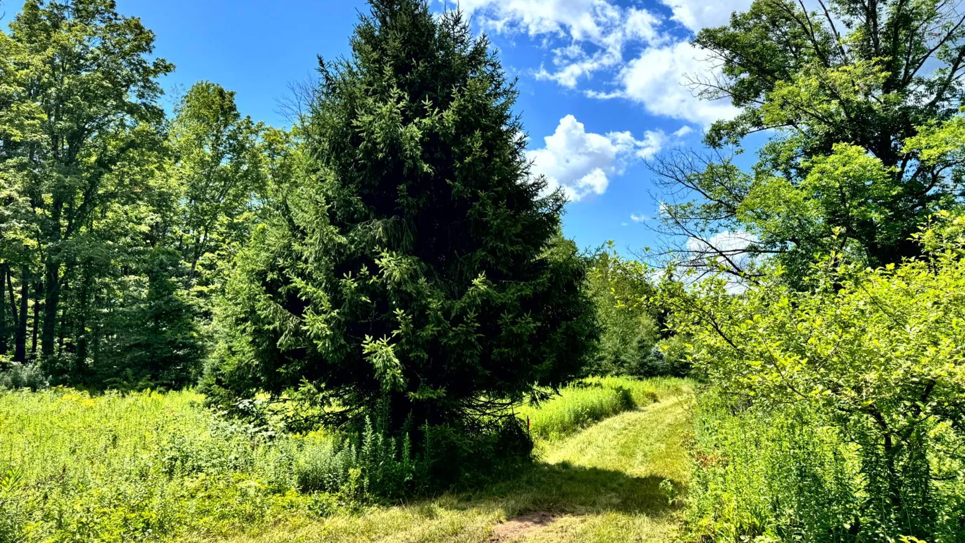 Property at 1.2 Tannery Rd, Western, NY 13486 19
