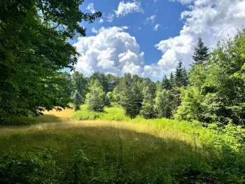 Property at 1.3 Tannery Rd, Western, NY 13486