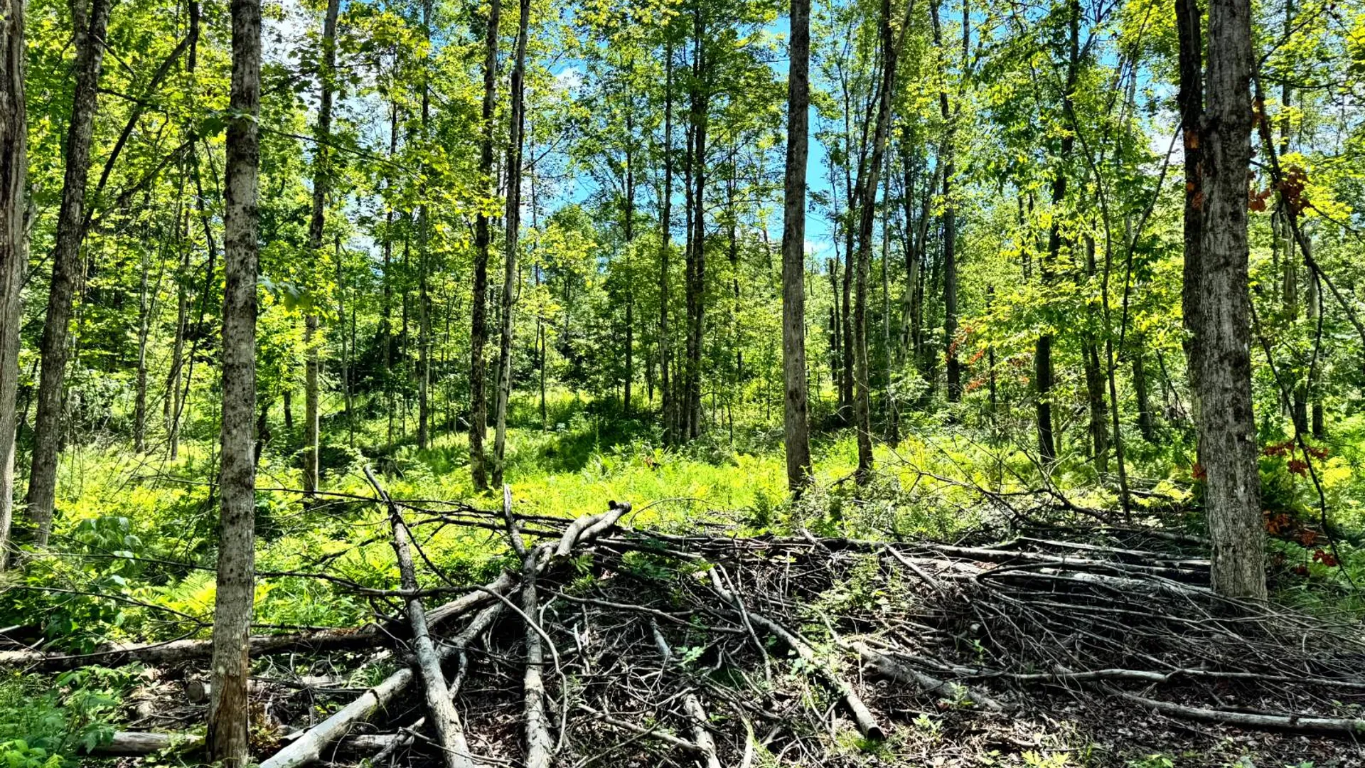 Property at 1.3 Tannery Rd, Western, NY 13486 8