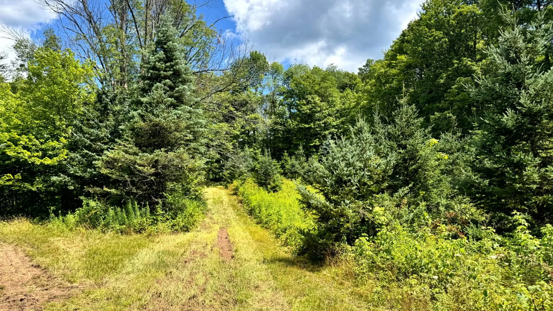Property at 1.3 Tannery Rd, Western, NY 13486 12