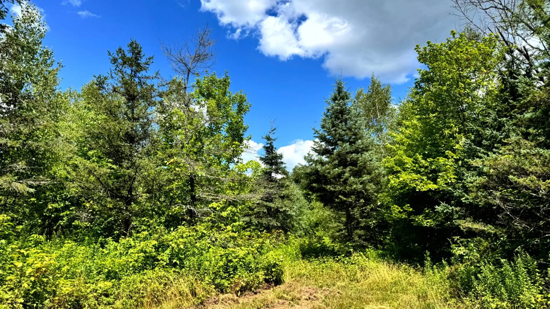 Property at 1.3 Tannery Rd, Western, NY 13486 13