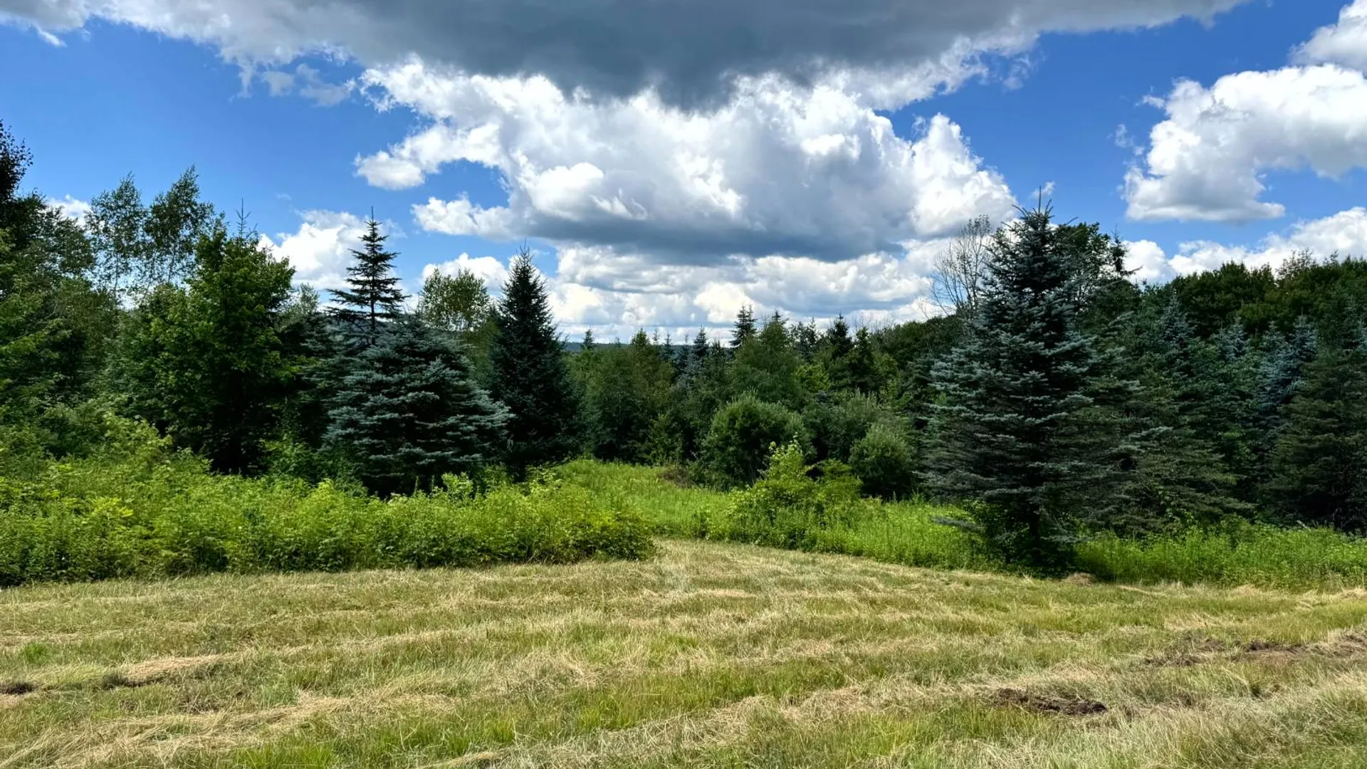 Property at 1.3 Tannery Rd, Western, NY 13486 14