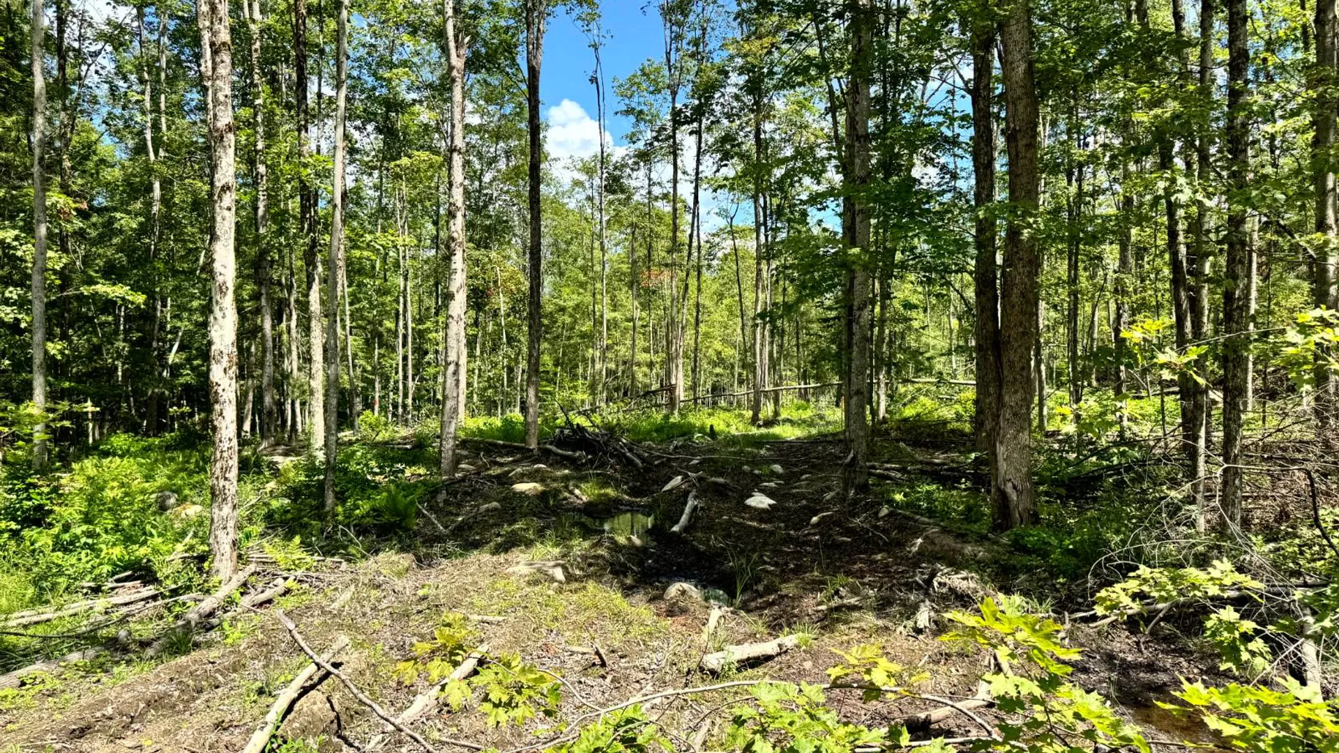 Property at 1.3 Tannery Rd, Western, NY 13486 18