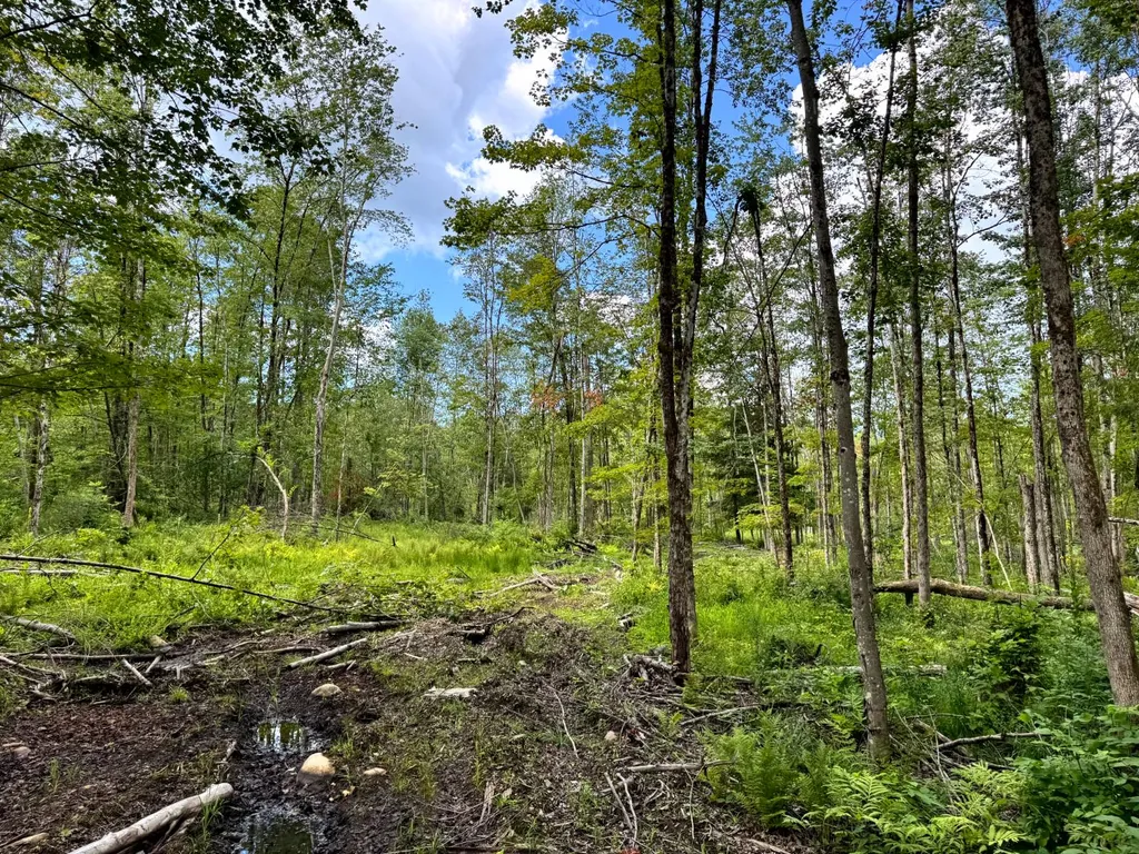 Property at 1.4 Tannery Rd, Western, NY 13486