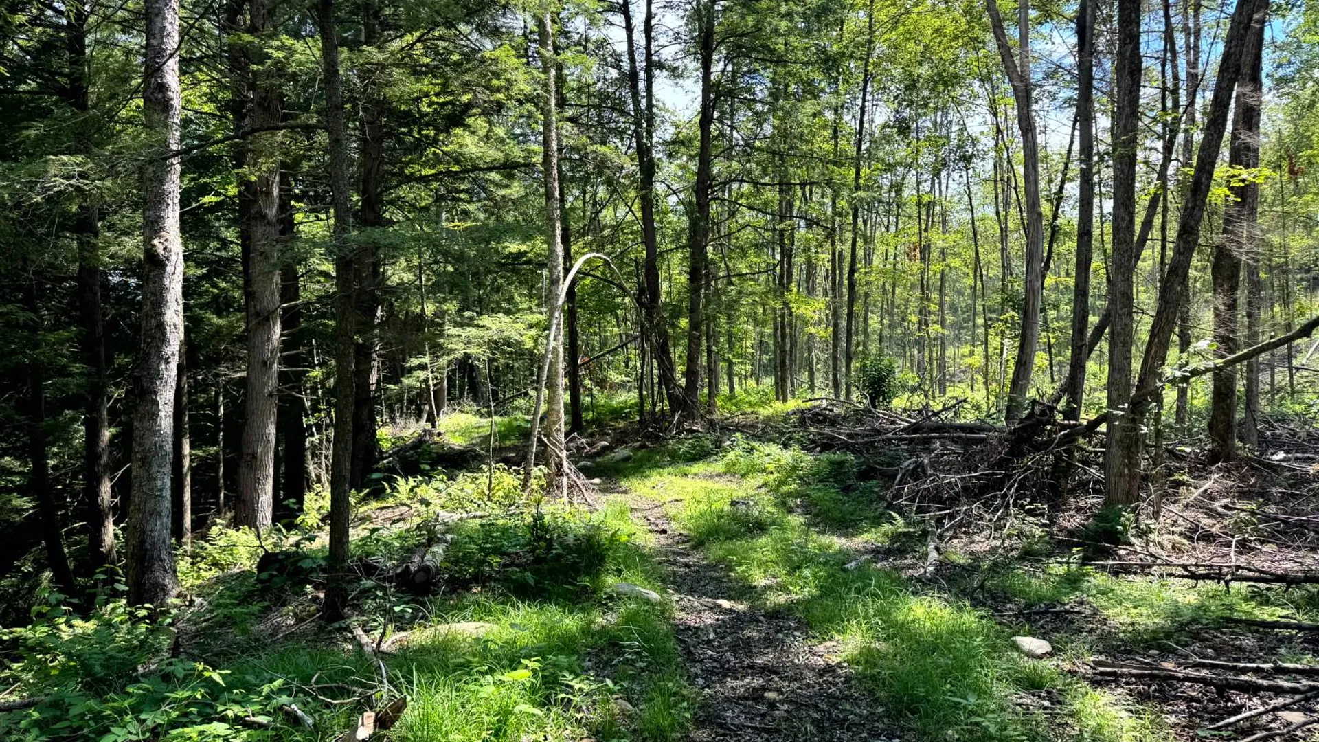 Property at 1.4 Tannery Rd, Western, NY 13486 6