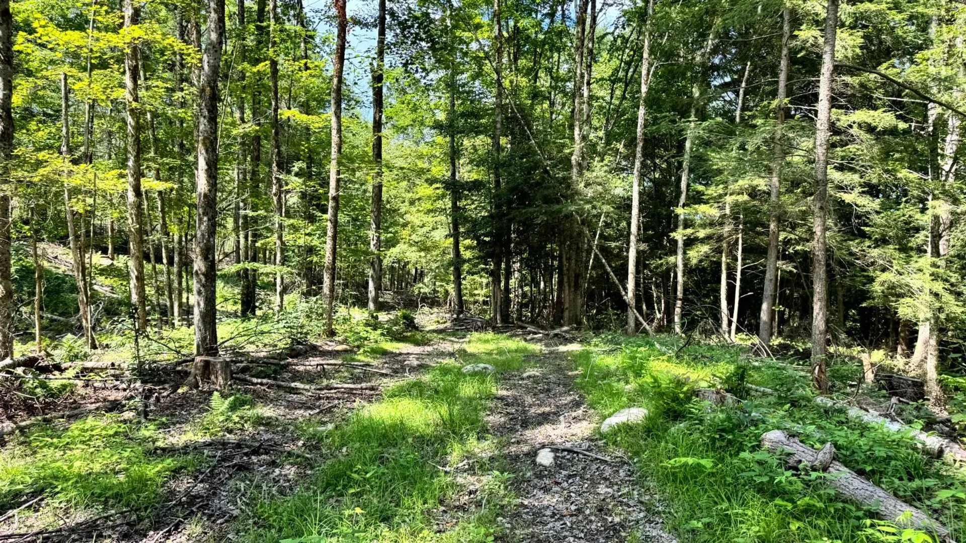 Property at 1.4 Tannery Rd, Western, NY 13486 8