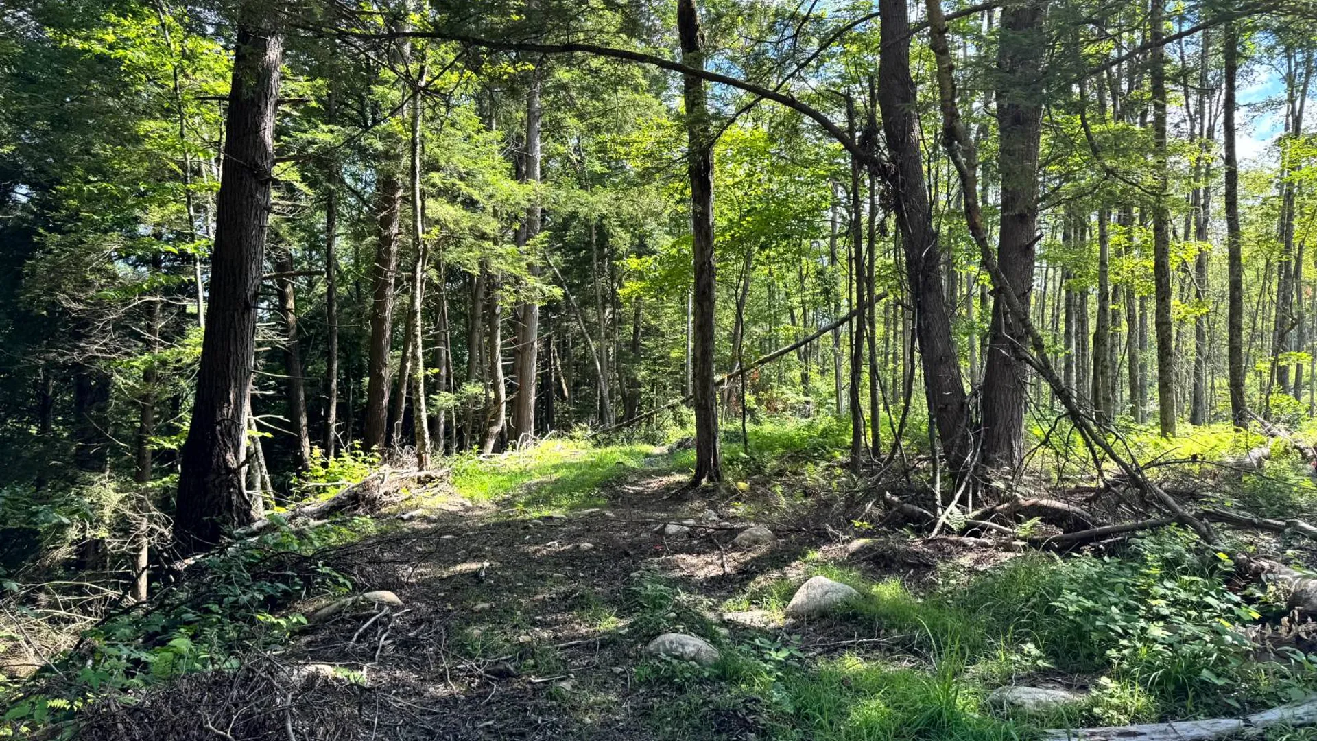 Property at 1.4 Tannery Rd, Western, NY 13486 9