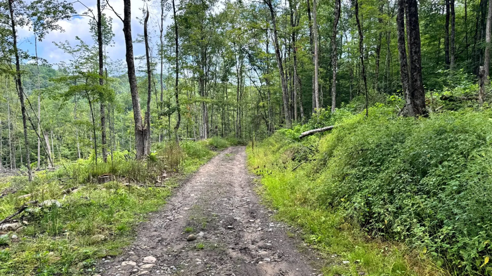 Property at 1.4 Tannery Rd, Western, NY 13486 13