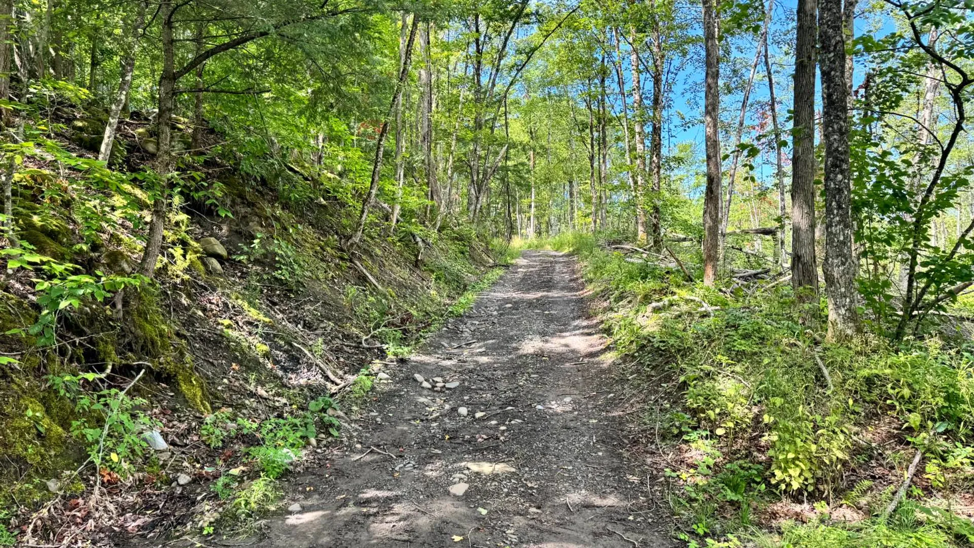 Property at 1.4 Tannery Rd, Western, NY 13486 14