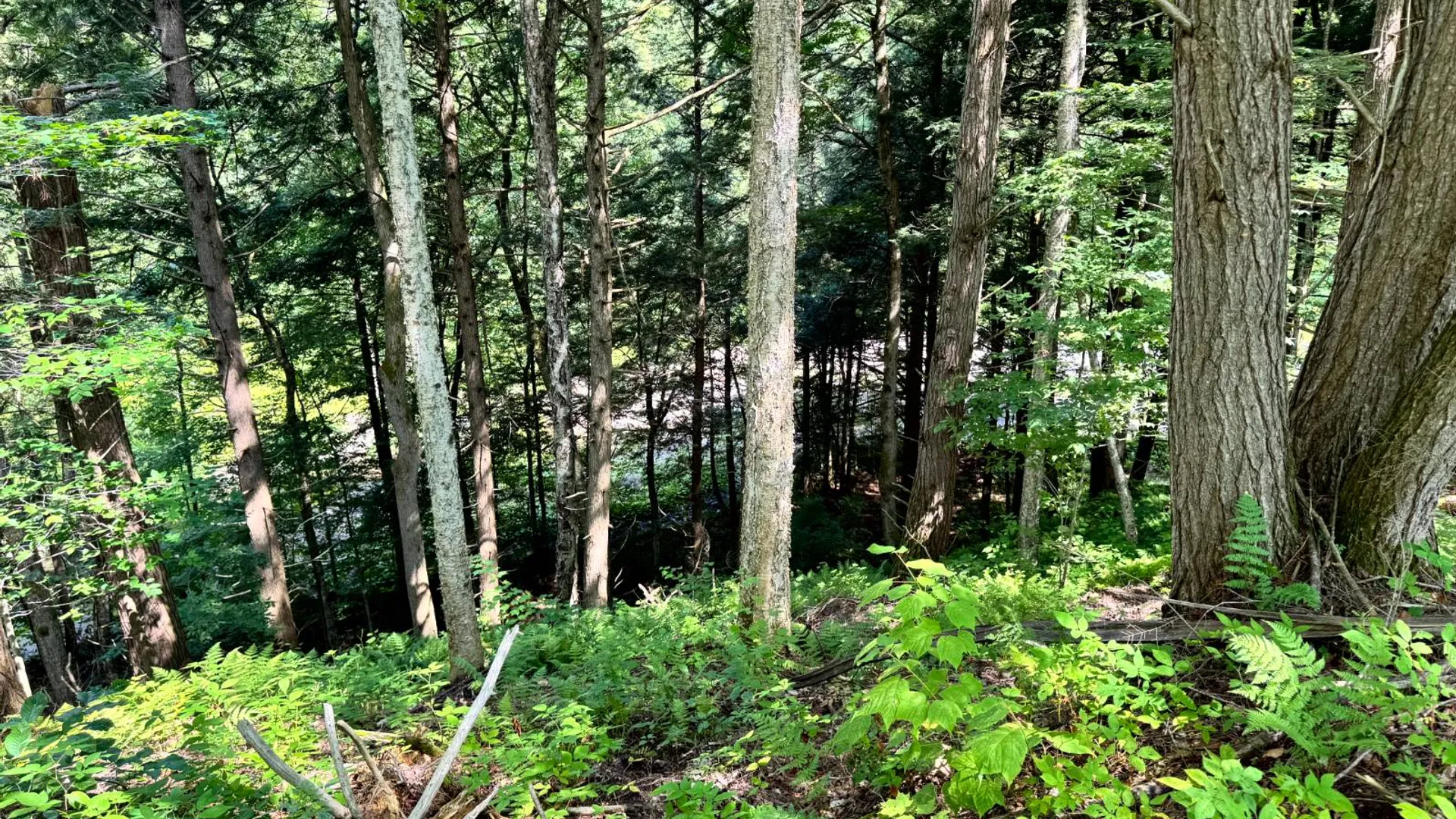 Property at 1.4 Tannery Rd, Western, NY 13486 17