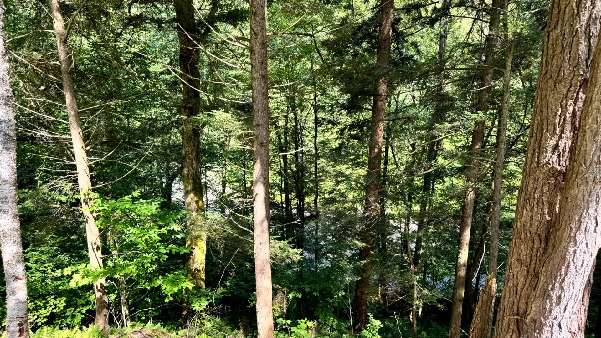 Property at 1.4 Tannery Rd, Western, NY 13486 18