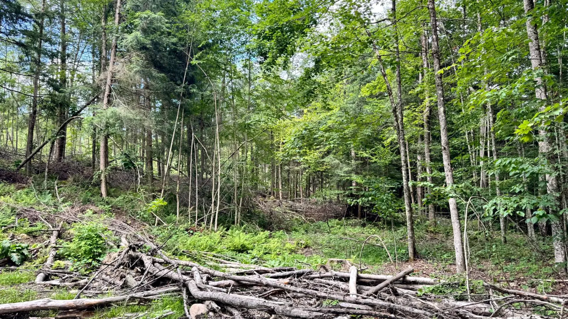 Property at 1.4 Tannery Rd, Western, NY 13486 19
