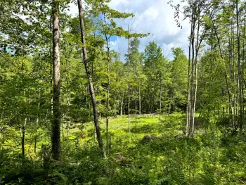 Property at 1.5 Tannery Rd, Western, NY 13486