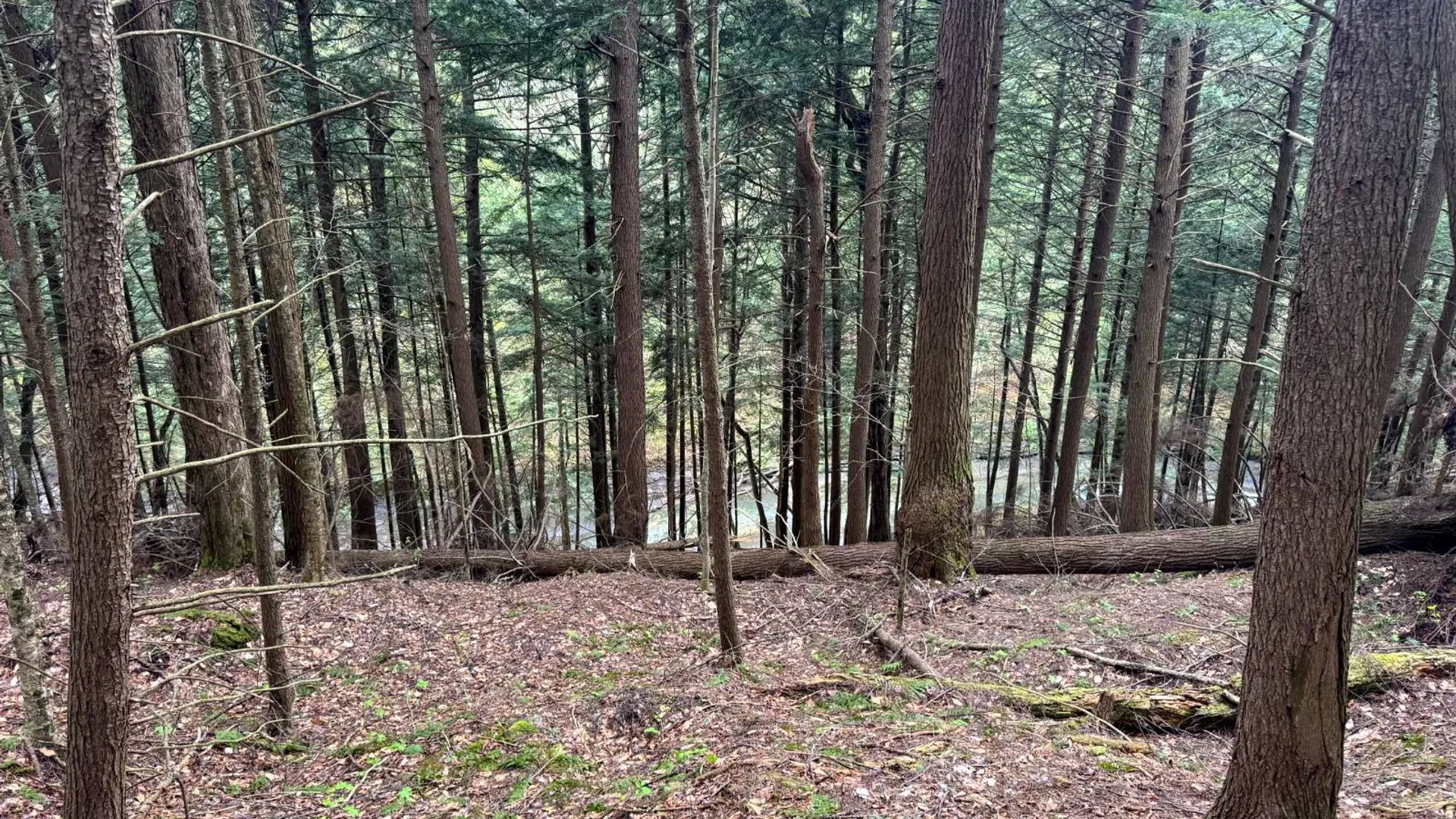 Property at 1.7 Tannery Rd, Western, NY 13486 4
