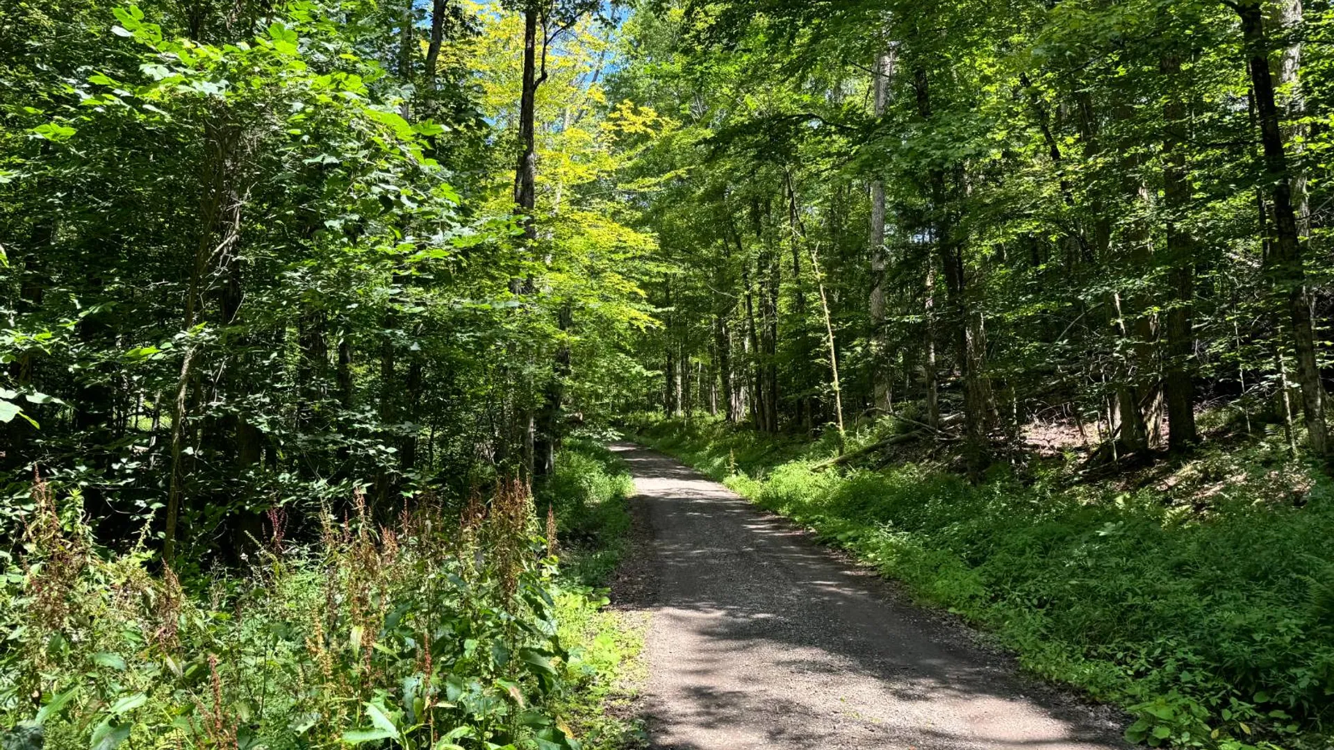 Property at 1.7 Tannery Rd, Western, NY 13486 9