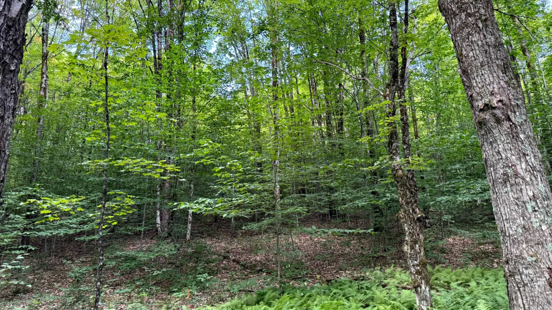 Property at 1.7 Tannery Rd, Western, NY 13486 14