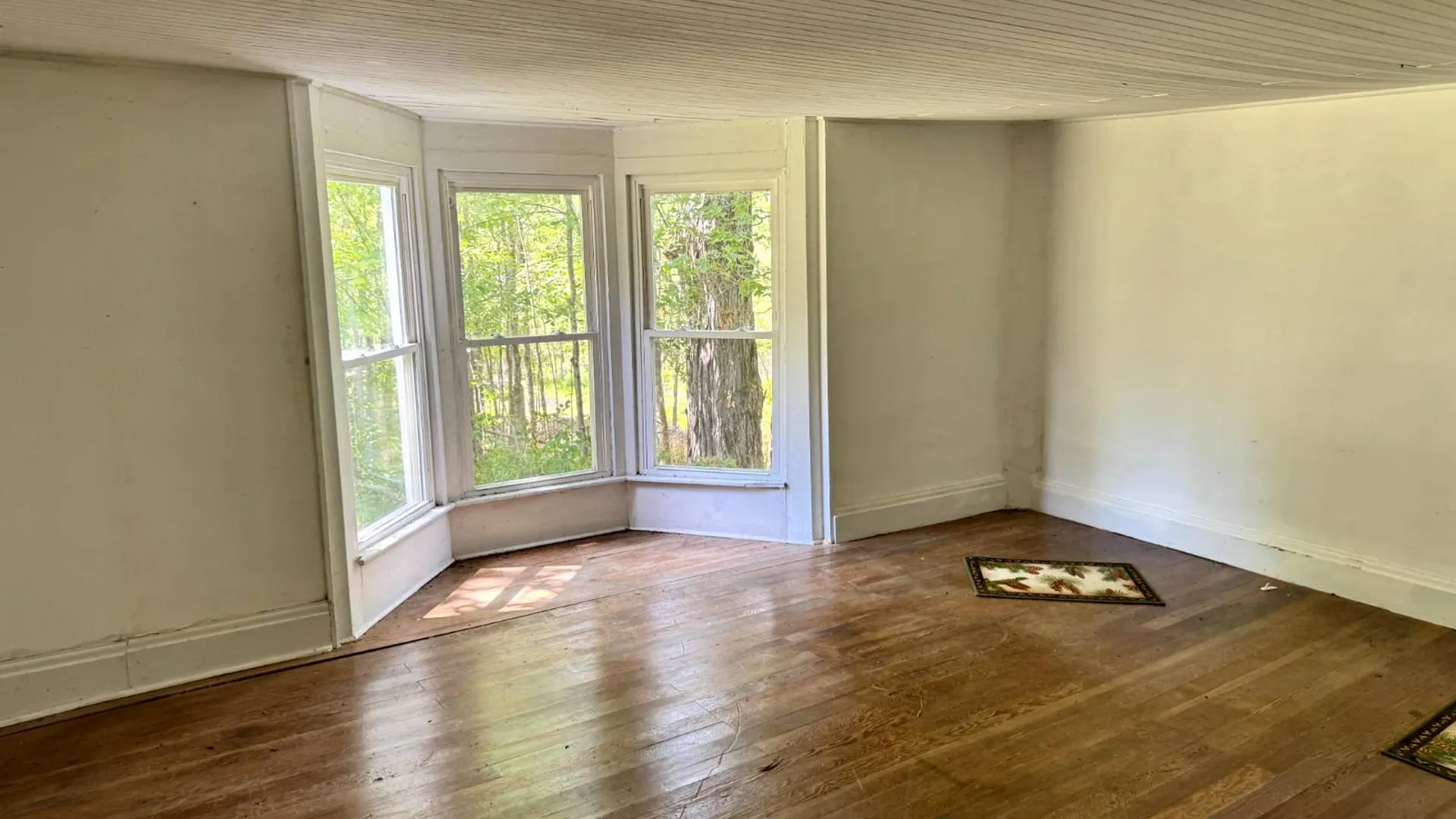 Property at 1.6 Tannery Rd, Western, NY 13486 4