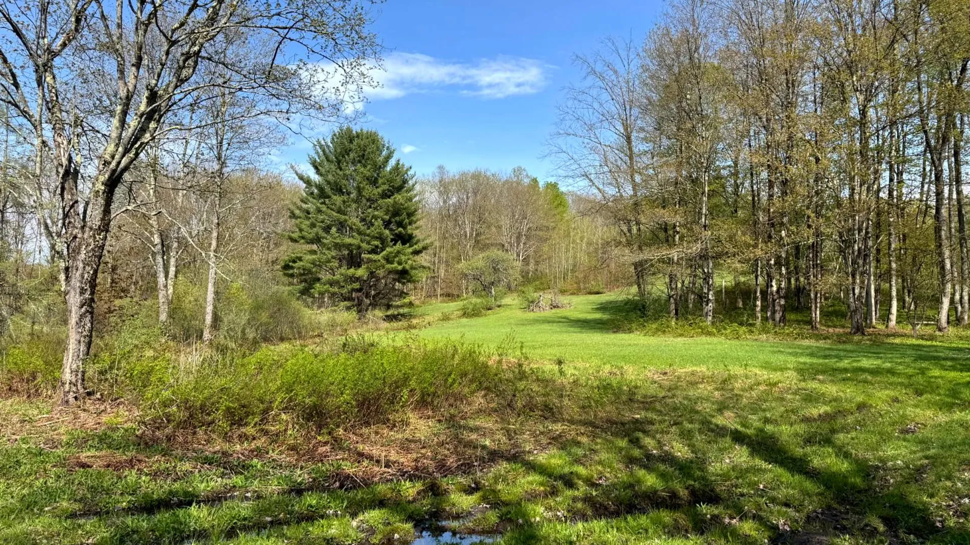 Property at 1.6 Tannery Rd, Western, NY 13486 14
