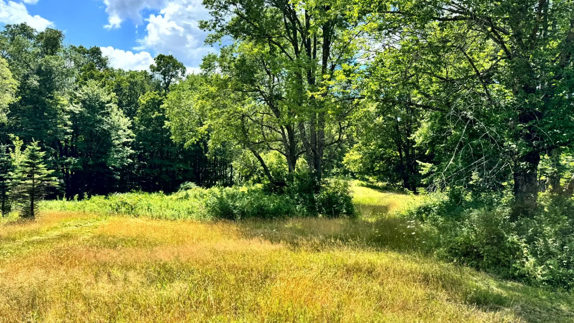 Property at 1.6 Tannery Rd, Western, NY 13486 18