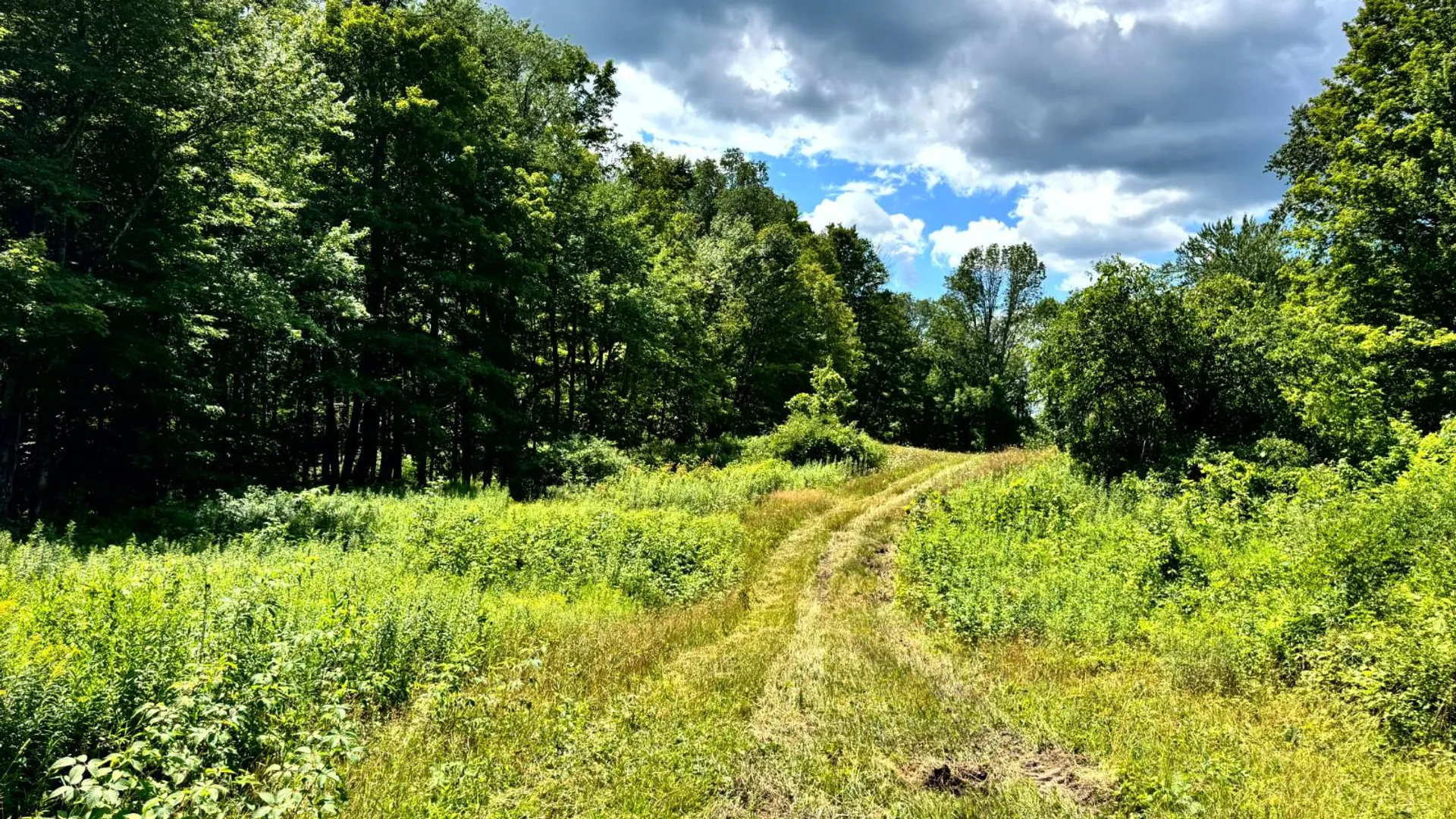 Property at 1.6 Tannery Rd, Western, NY 13486 19