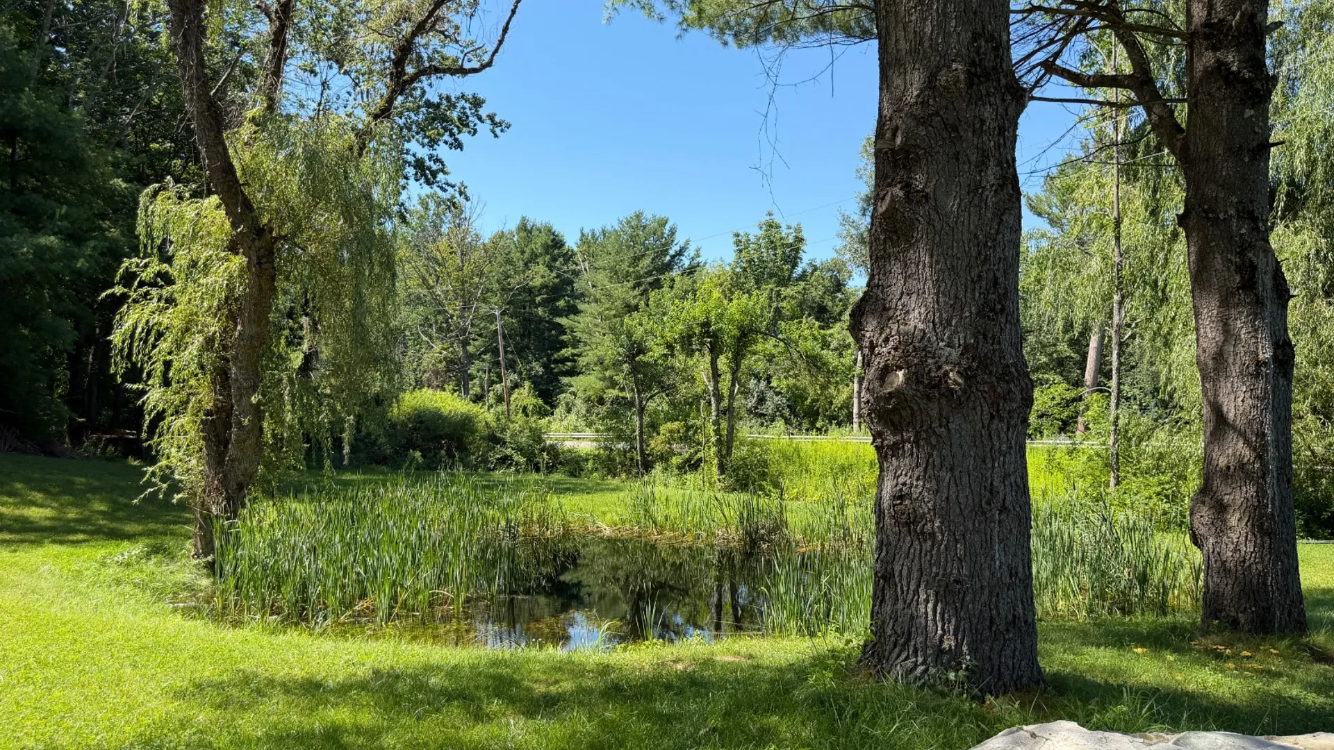 Property at 738 County Route 5, East Chatham, NY 12060 3
