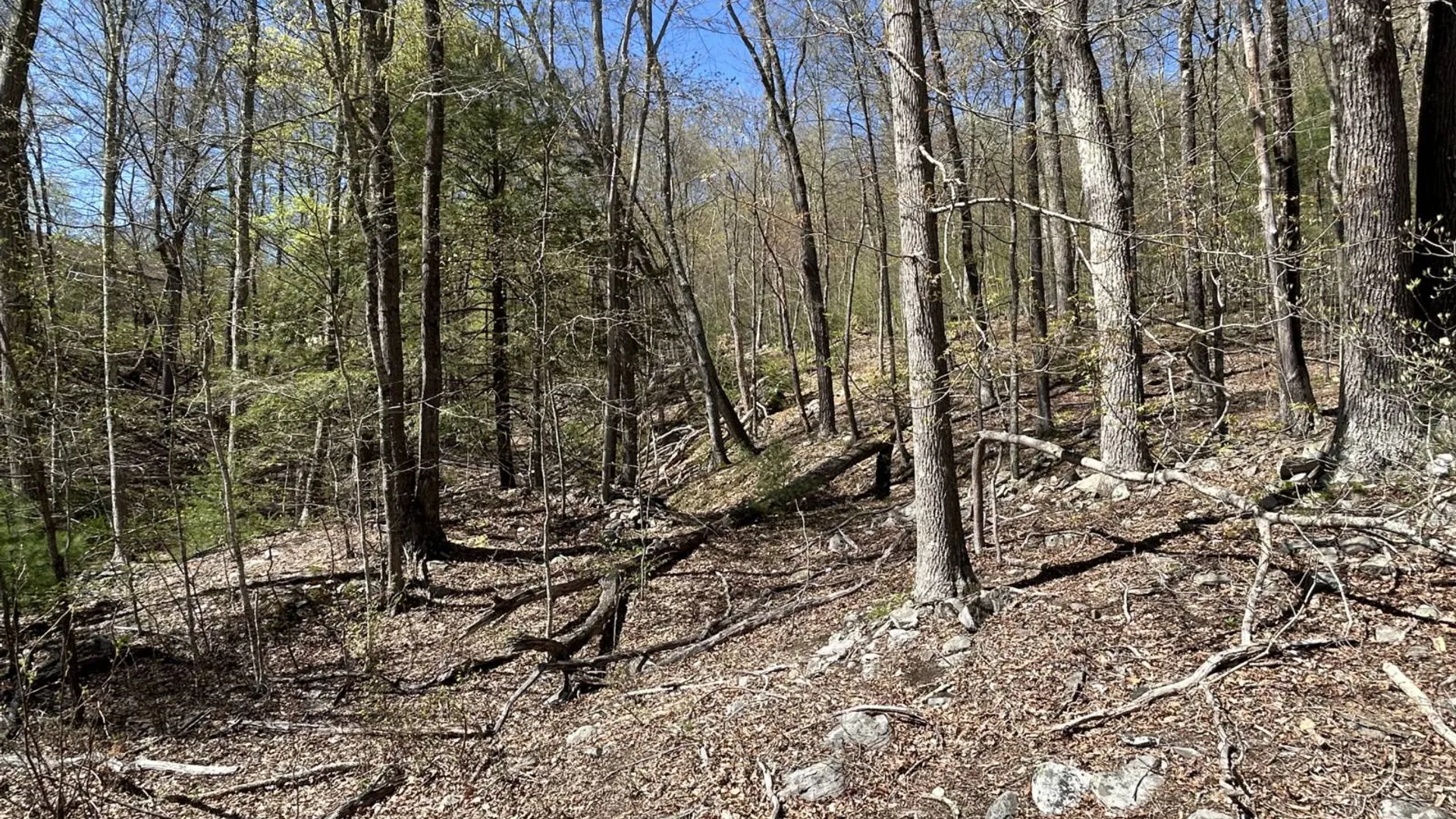 Property at 14 Hawk Mountain Drive, Sparrowbush, NY 12780 11