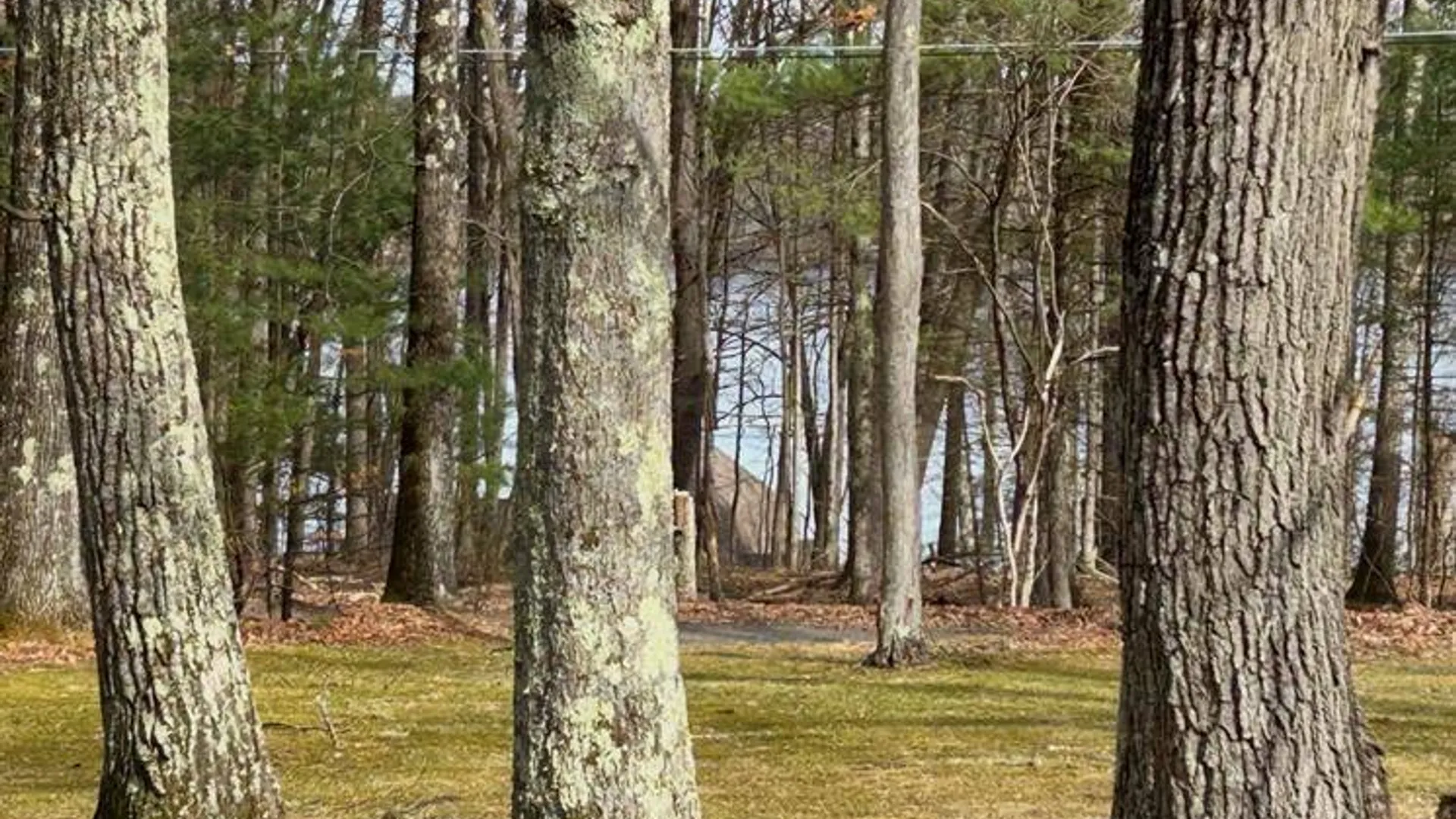 Property at 11 Fairway Dr, Highland Lake, NY 12743 19