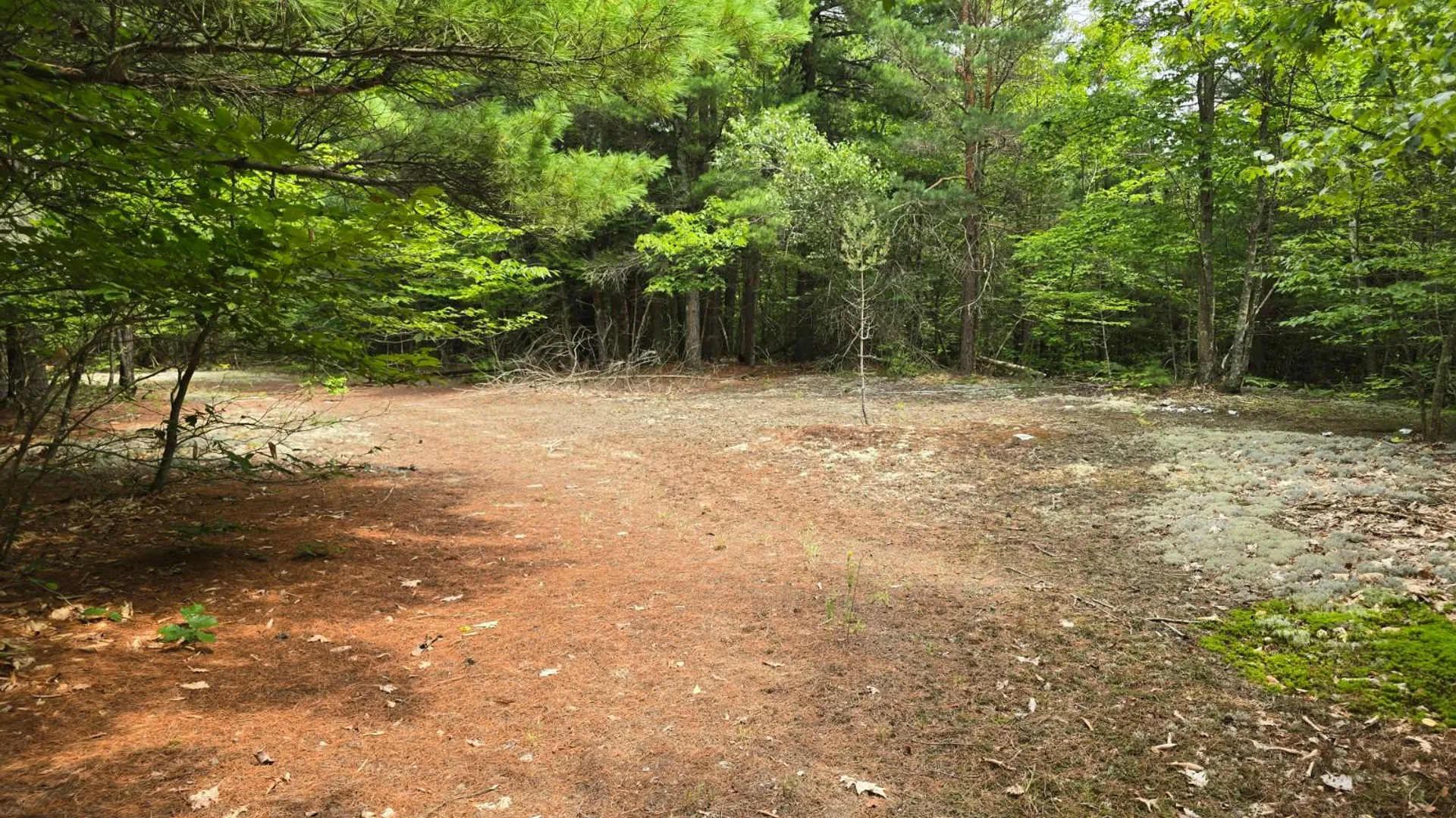 Property at 260 Barrett Rd., Stockholm, NY 13697 13