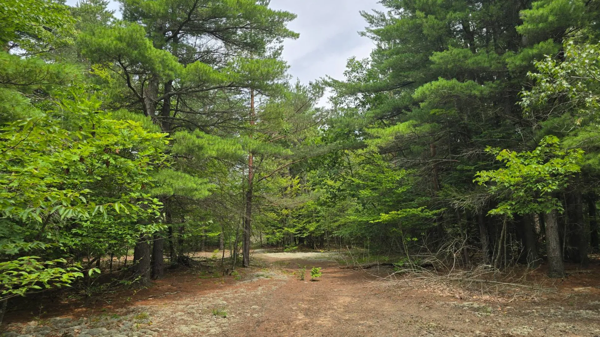 Property at 260 Barrett Rd., Stockholm, NY 13697 14
