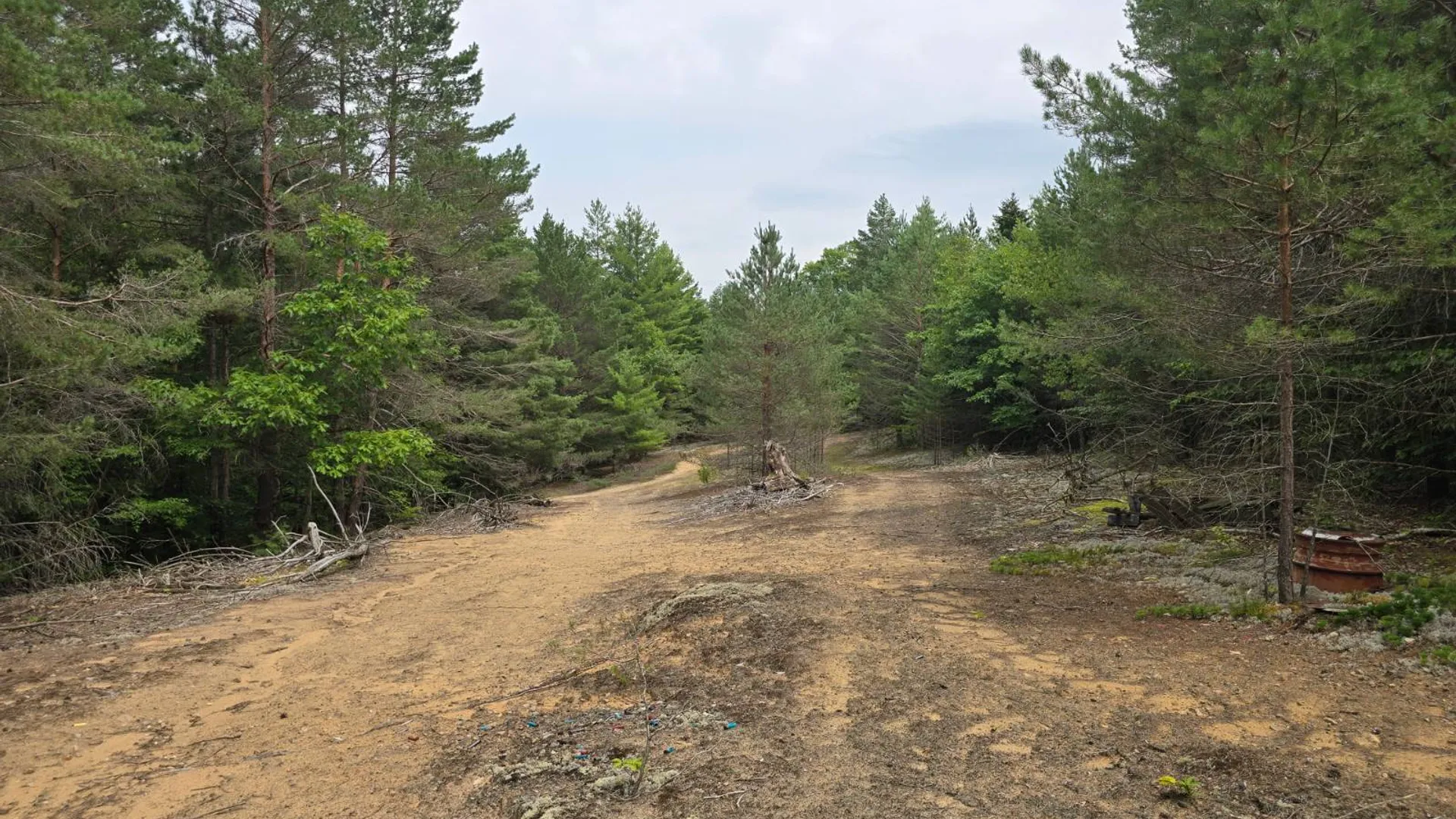 Property at 260 Barrett Rd., Stockholm, NY 13697 15