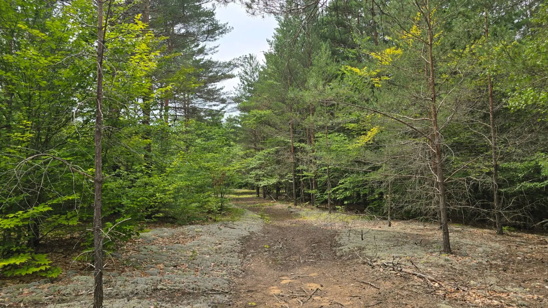Property at 260 Barrett Rd., Stockholm, NY 13697 17