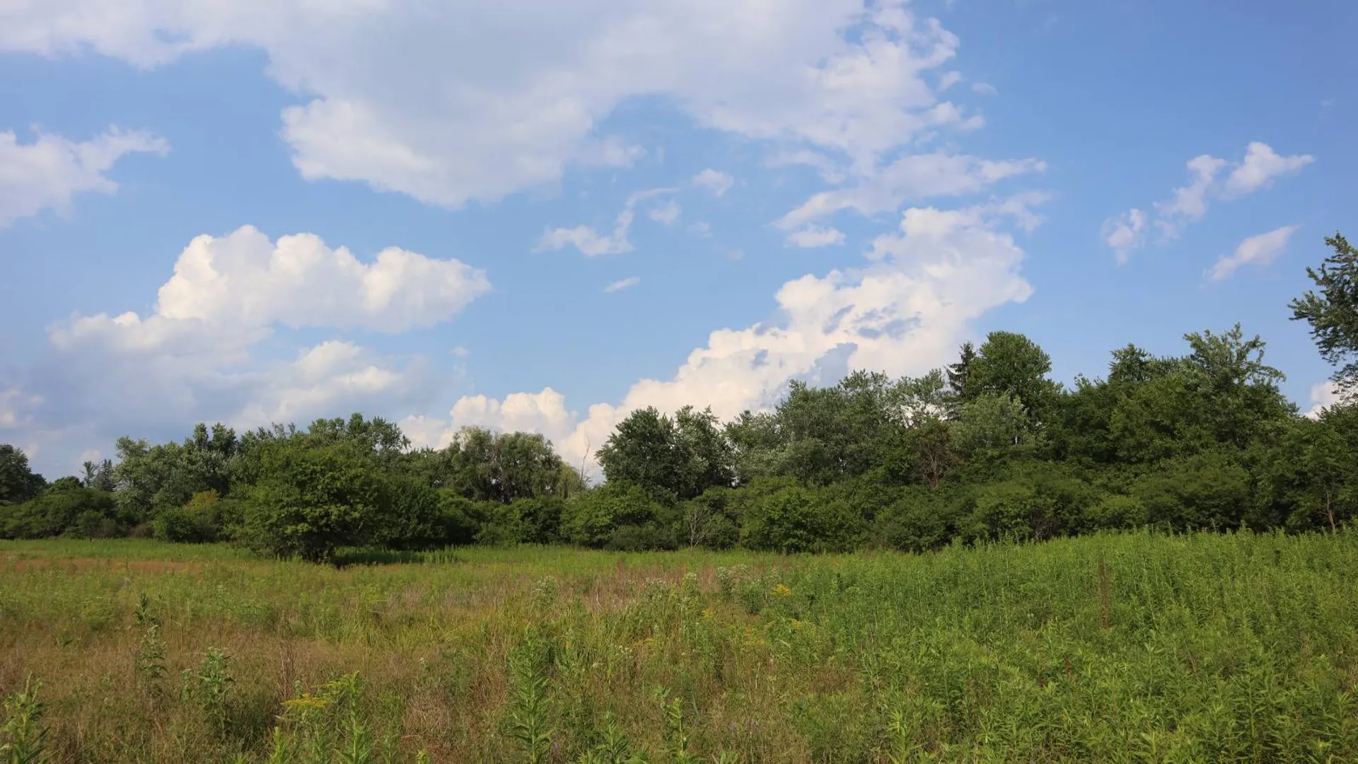 Property at 0 3rd Avenue Ext., Rensselaer, NY 12144 5