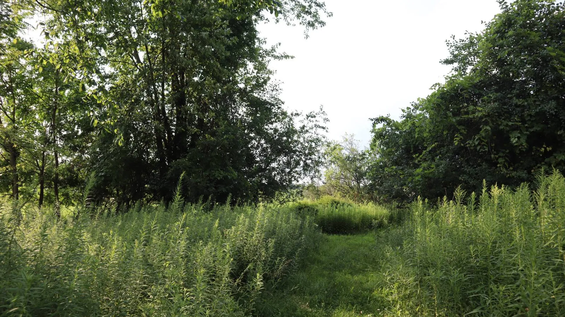 Property at 0 3rd Avenue Ext., Rensselaer, NY 12144 13