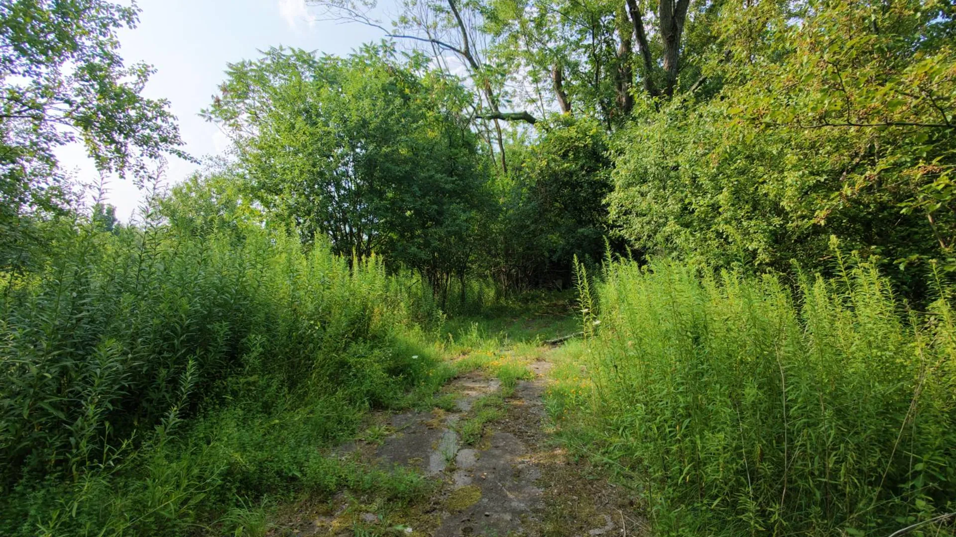 Property at 0 3rd Avenue Ext., Rensselaer, NY 12144 17