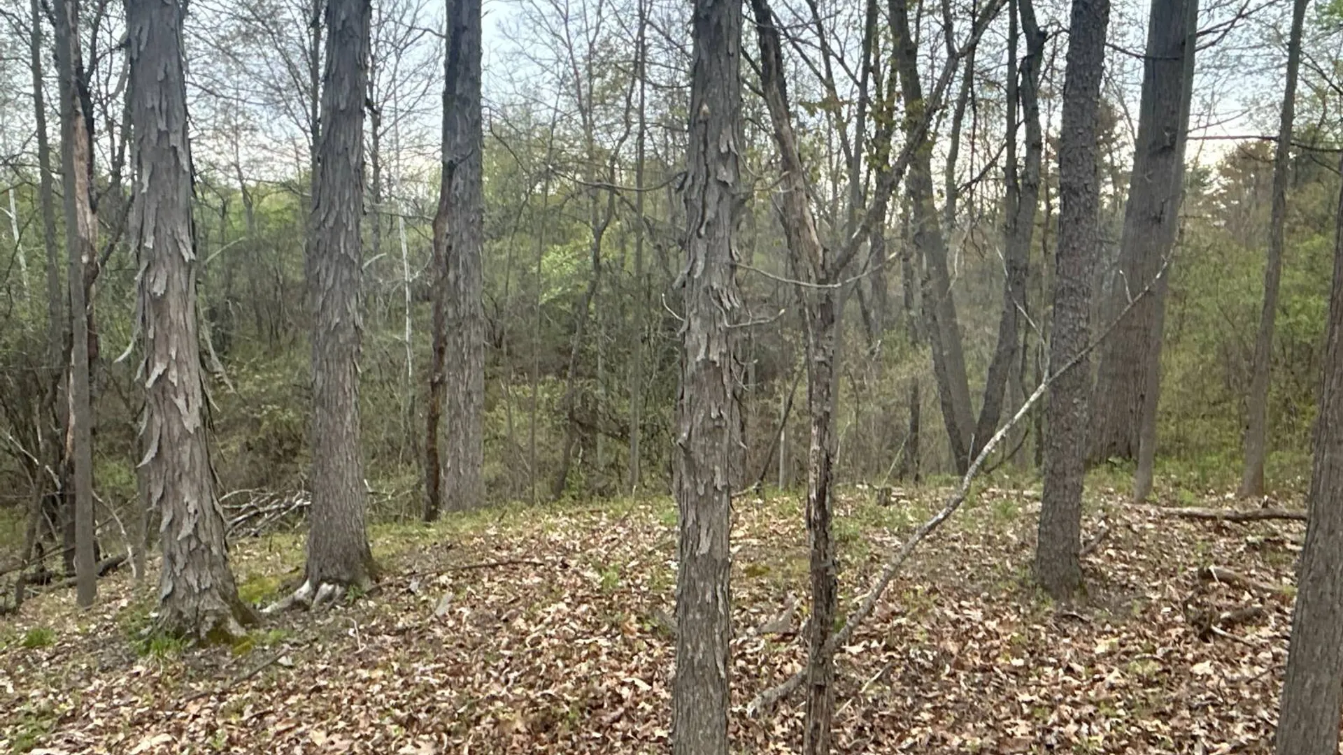 Property at 0 3rd Avenue Ext., Rensselaer, NY 12144 19