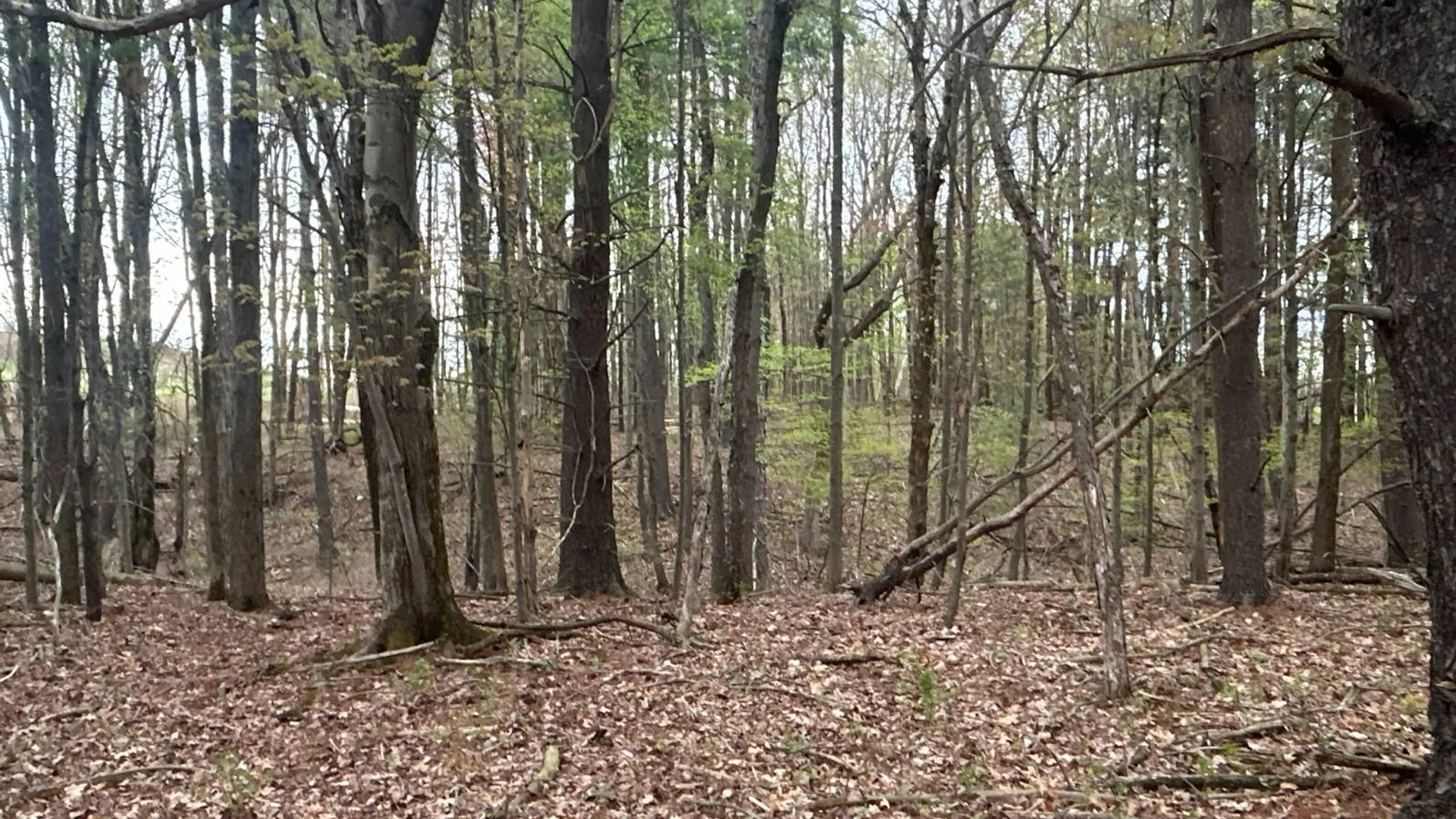 Property at 0 3rd Avenue Ext., Rensselaer, NY 12144 20