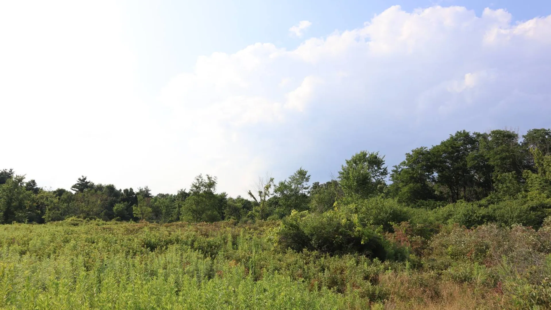Property at 0 3rd Avenue Ext., Rensselaer, NY 12144 21