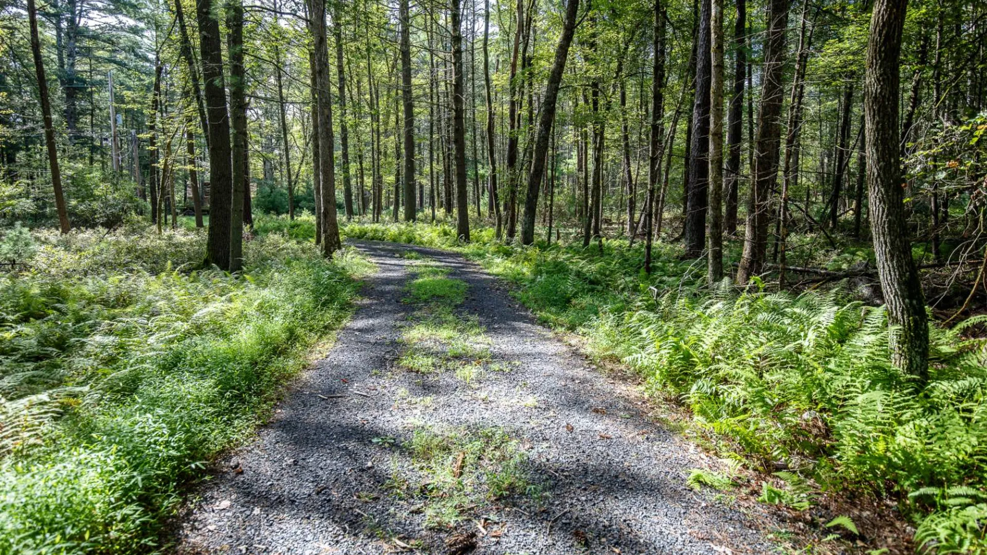 Property at 30 Woods Rd, Yulan, NY 12792 14