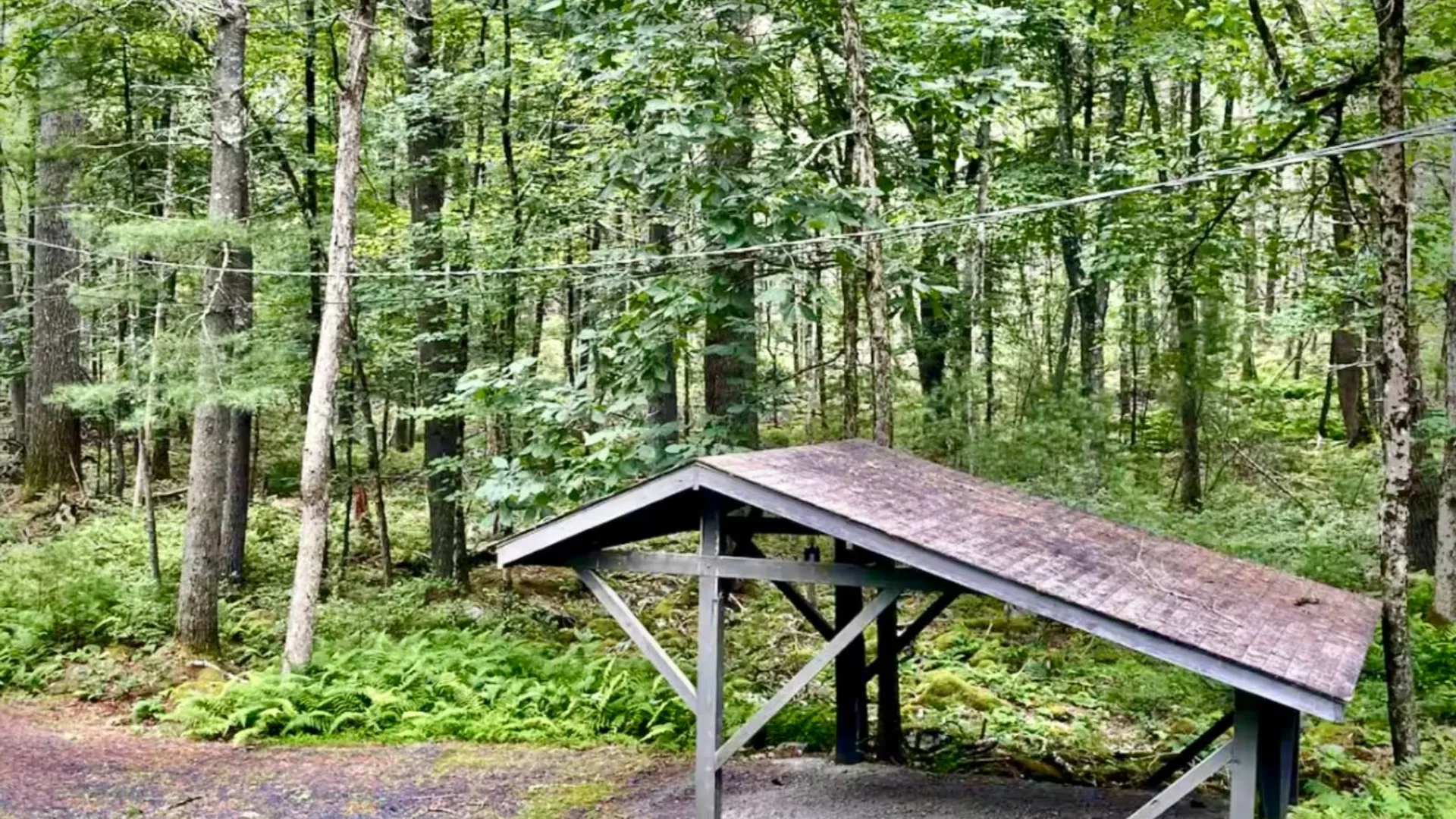 Property at 30 Woods Rd, Yulan, NY 12792 23