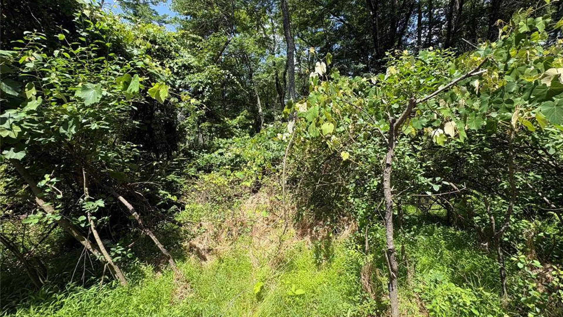 Property at 0 Belair Rd, Glen Spey, NY 12737 3