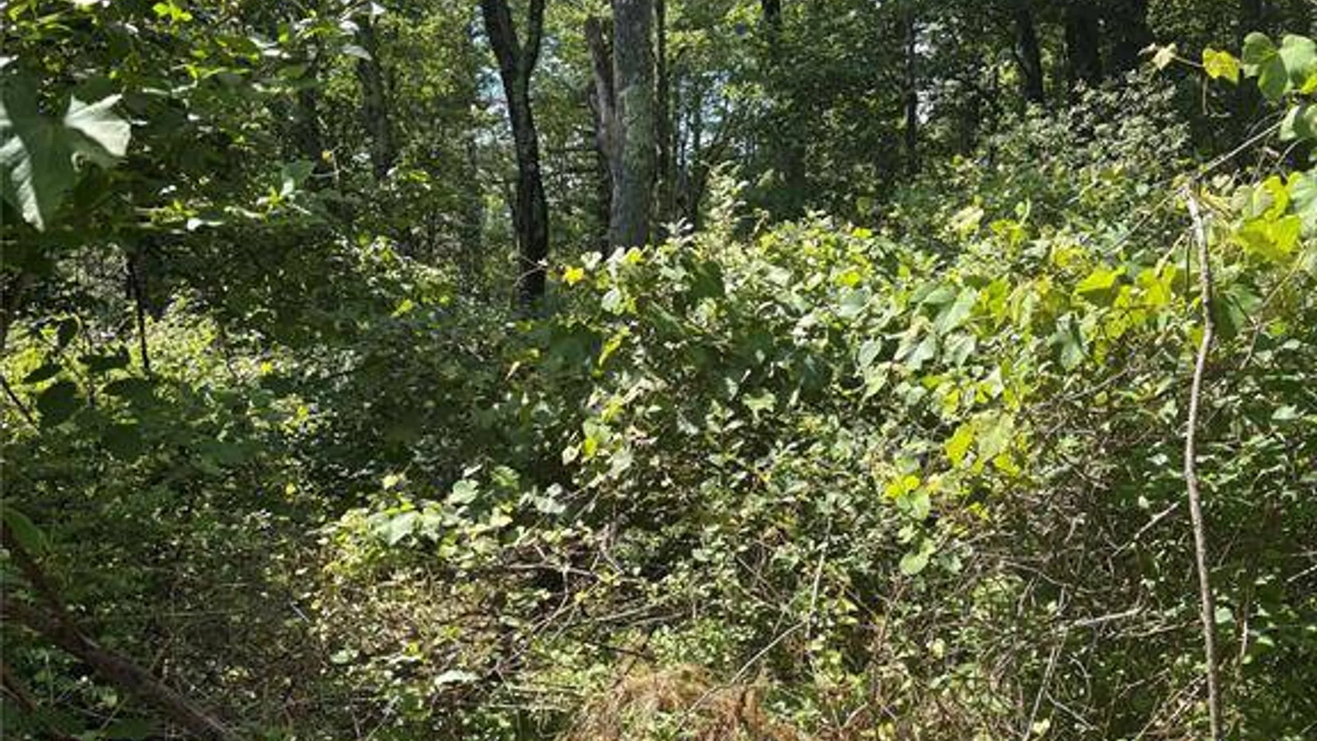 Property at 0 Belair Rd, Glen Spey, NY 12737 13