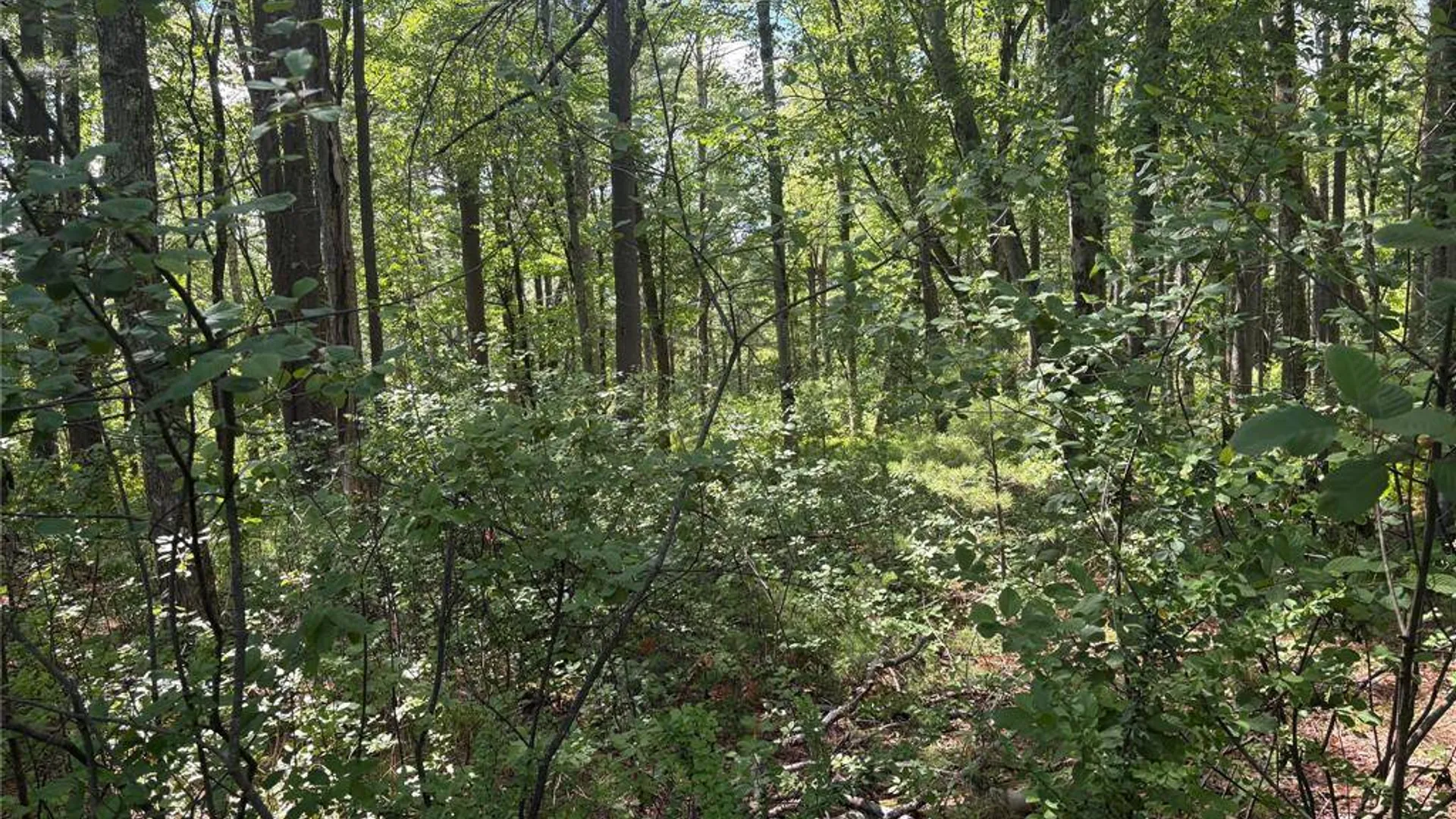 Property at 0 Belair Rd, Glen Spey, NY 12737 10