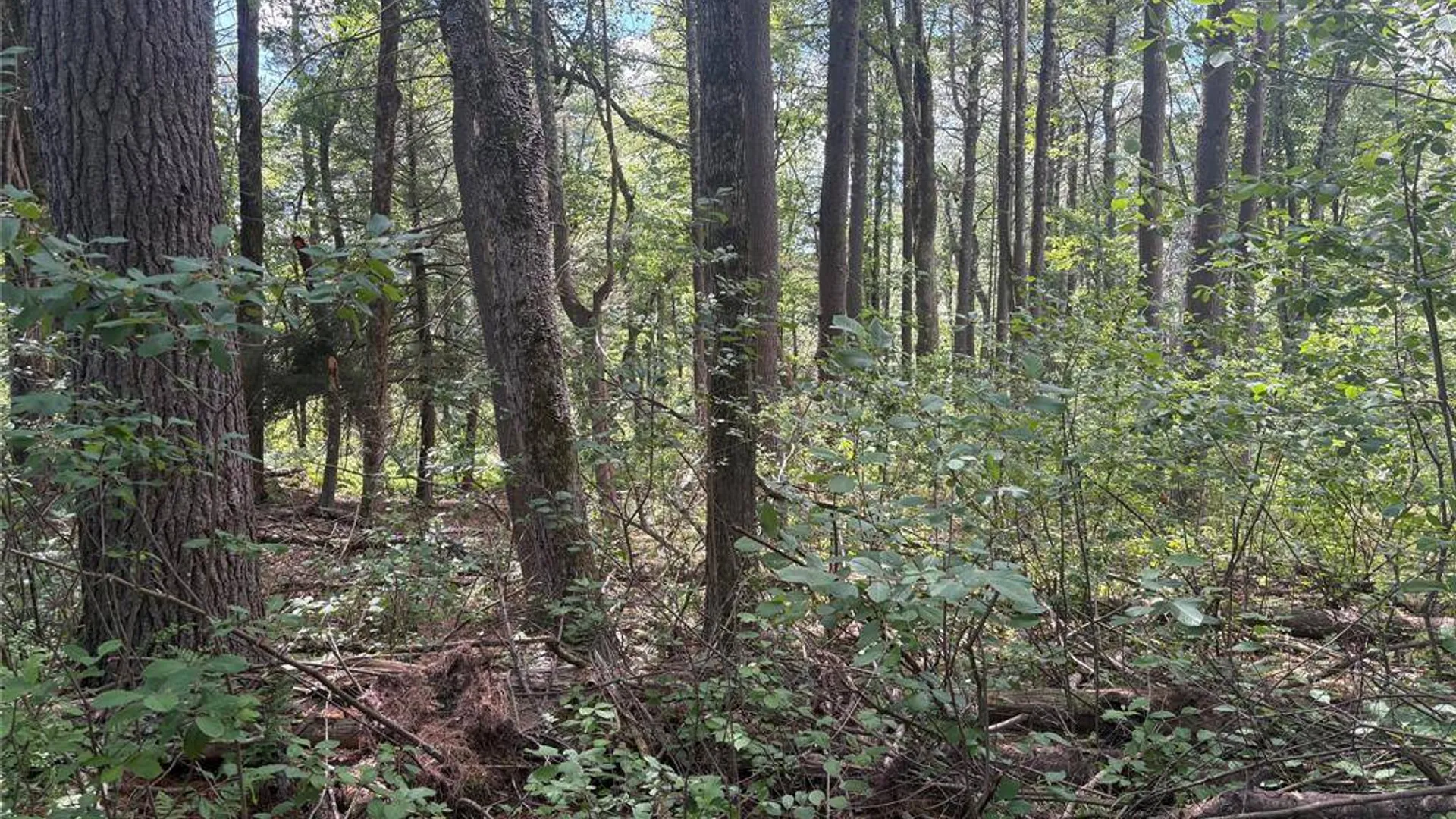 Property at 0 Belair Rd, Glen Spey, NY 12737 7