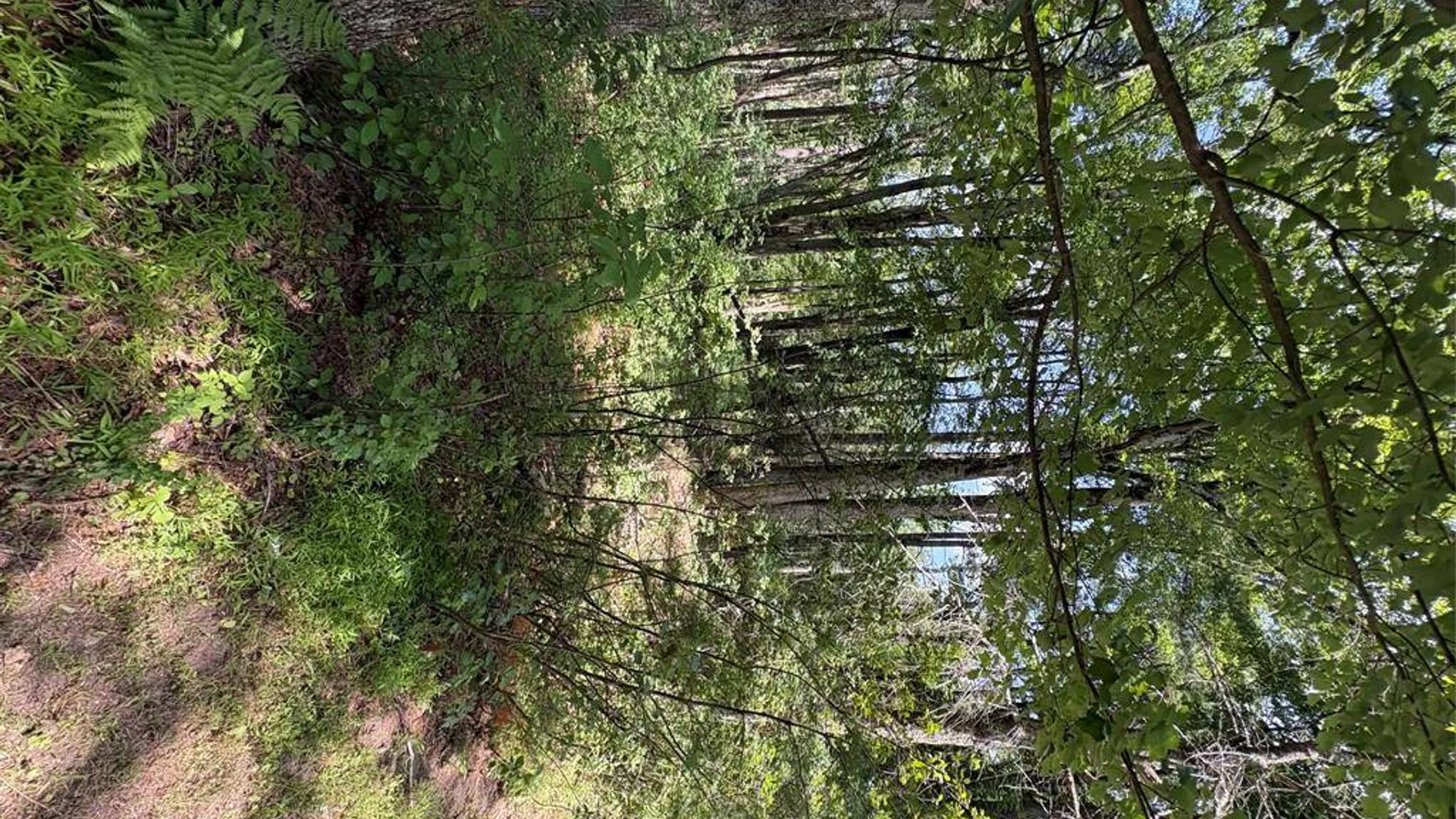 Property at 0 Belair Rd, Glen Spey, NY 12737 5