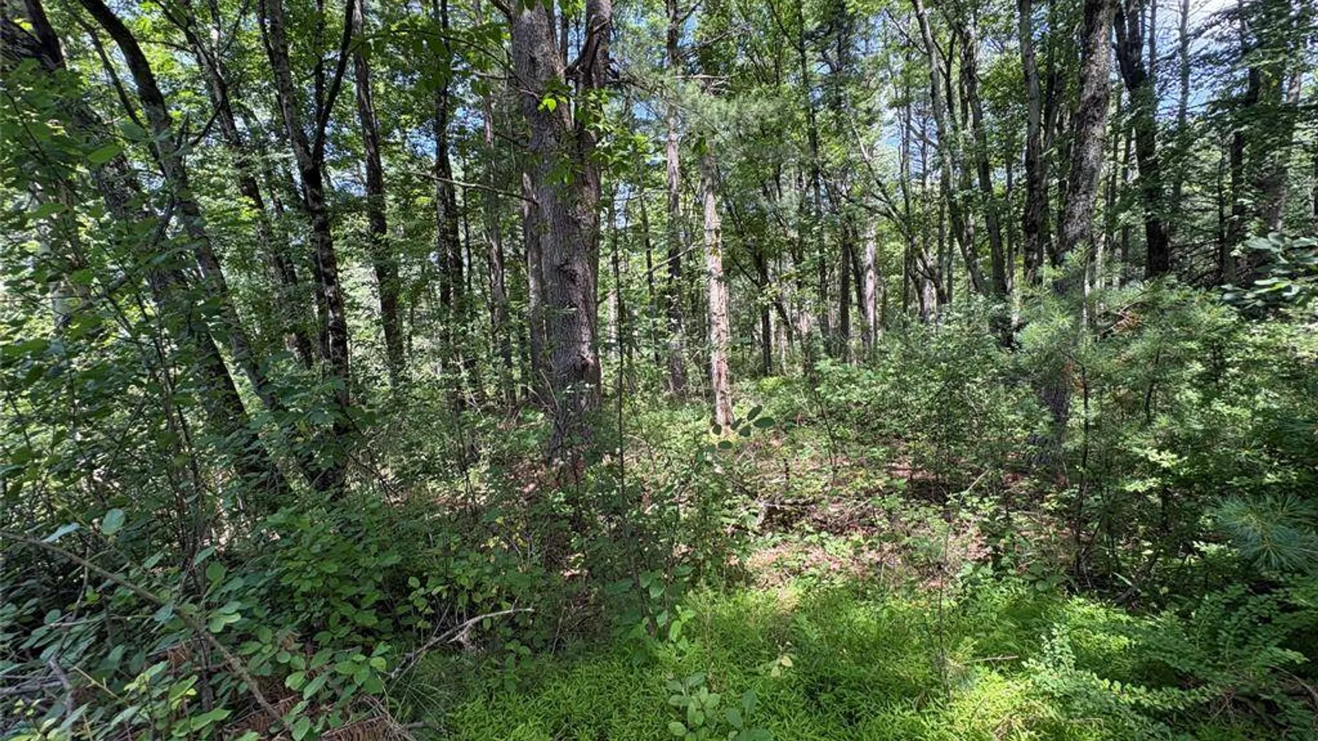 Property at 0 Belair Rd, Glen Spey, NY 12737 4