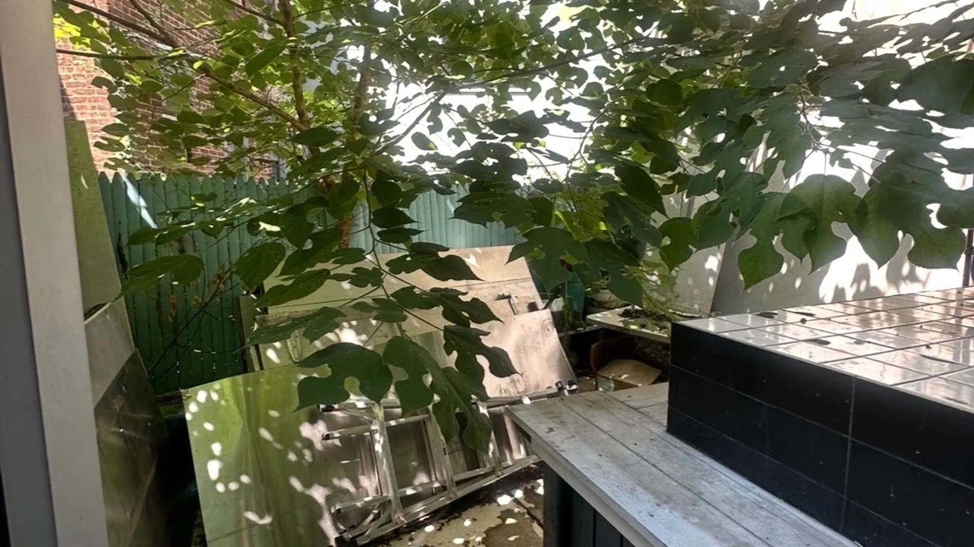 Property at 706 Washington Ave, Brooklyn NY, NY 11238 21
