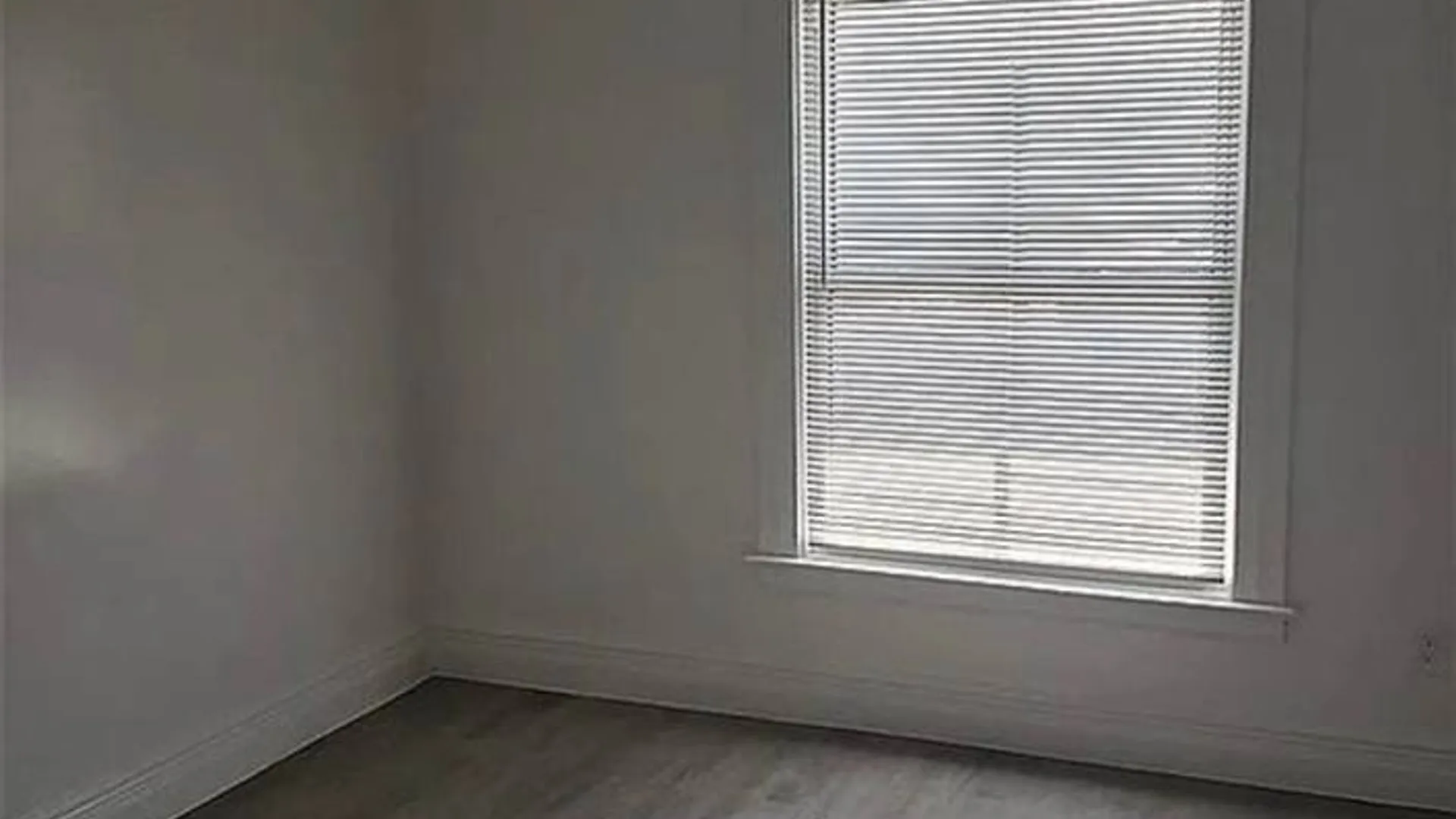 Property at 1028 E Ferry St, Buffalo, NY 14211 10