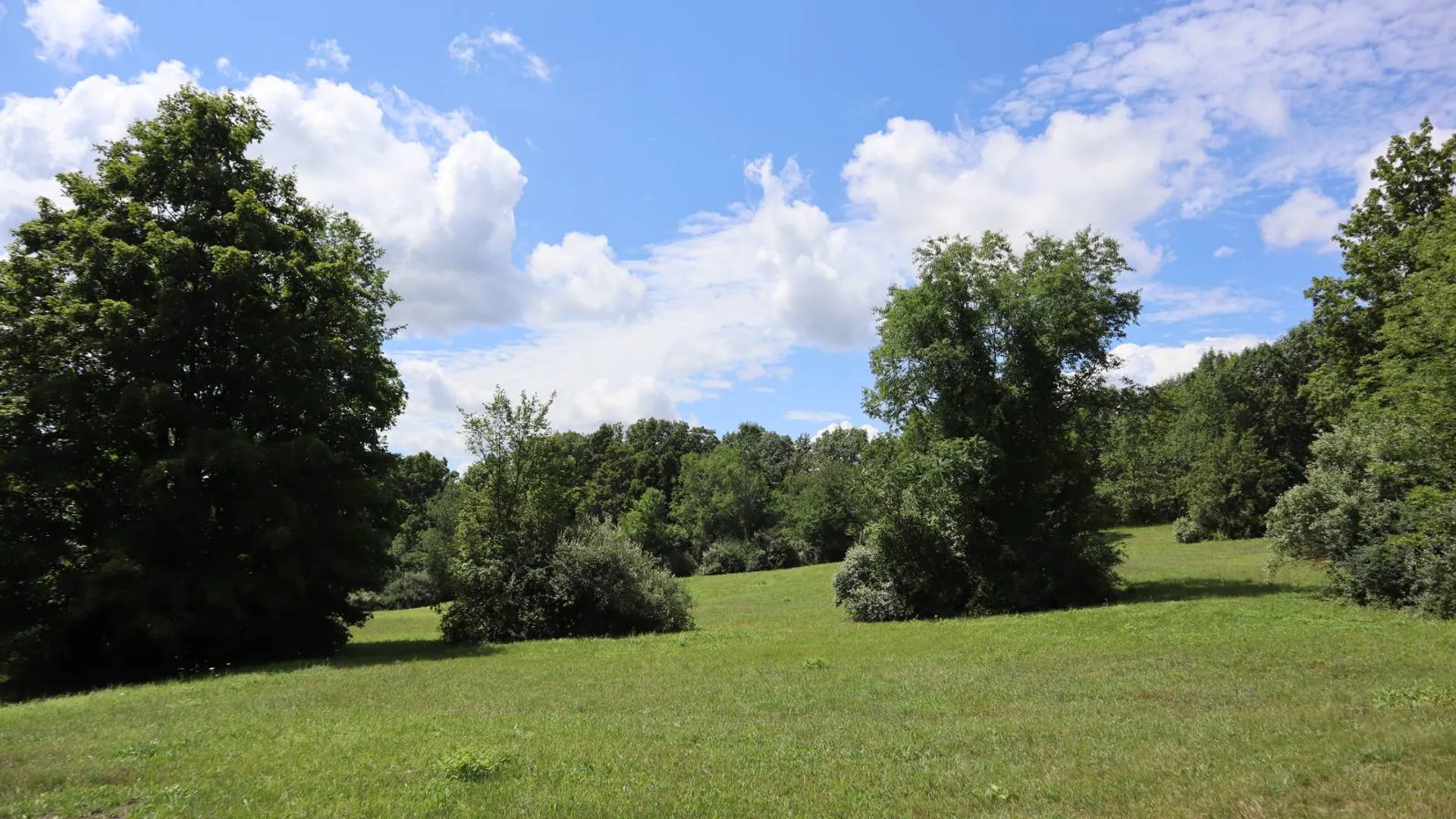 Property at 0 Shine Hill Rd, Fort Ann, NY 12827 8